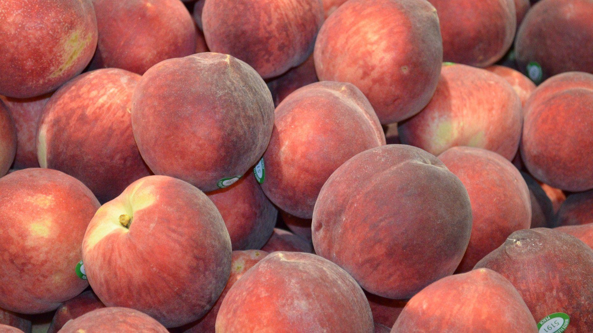 Peach Fruit Wallpapers - Top Free Peach Fruit Backgrounds - WallpaperAccess