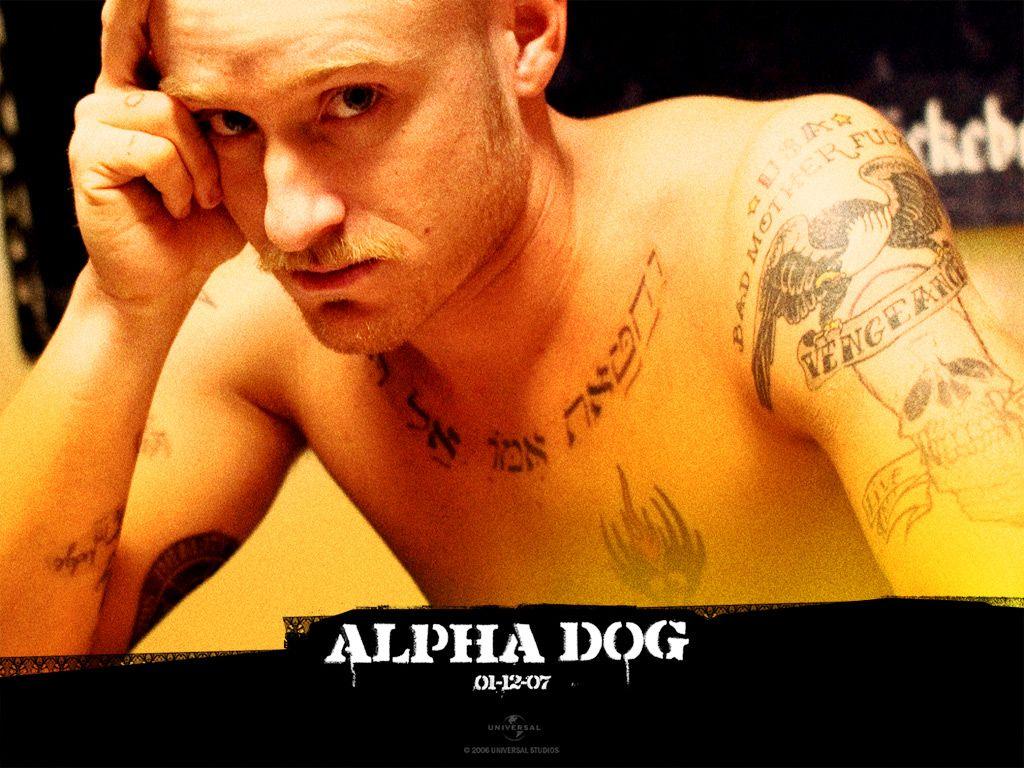1024x768 Ben Foster Foster in Alpha Dog Wallpaper 11 800x600