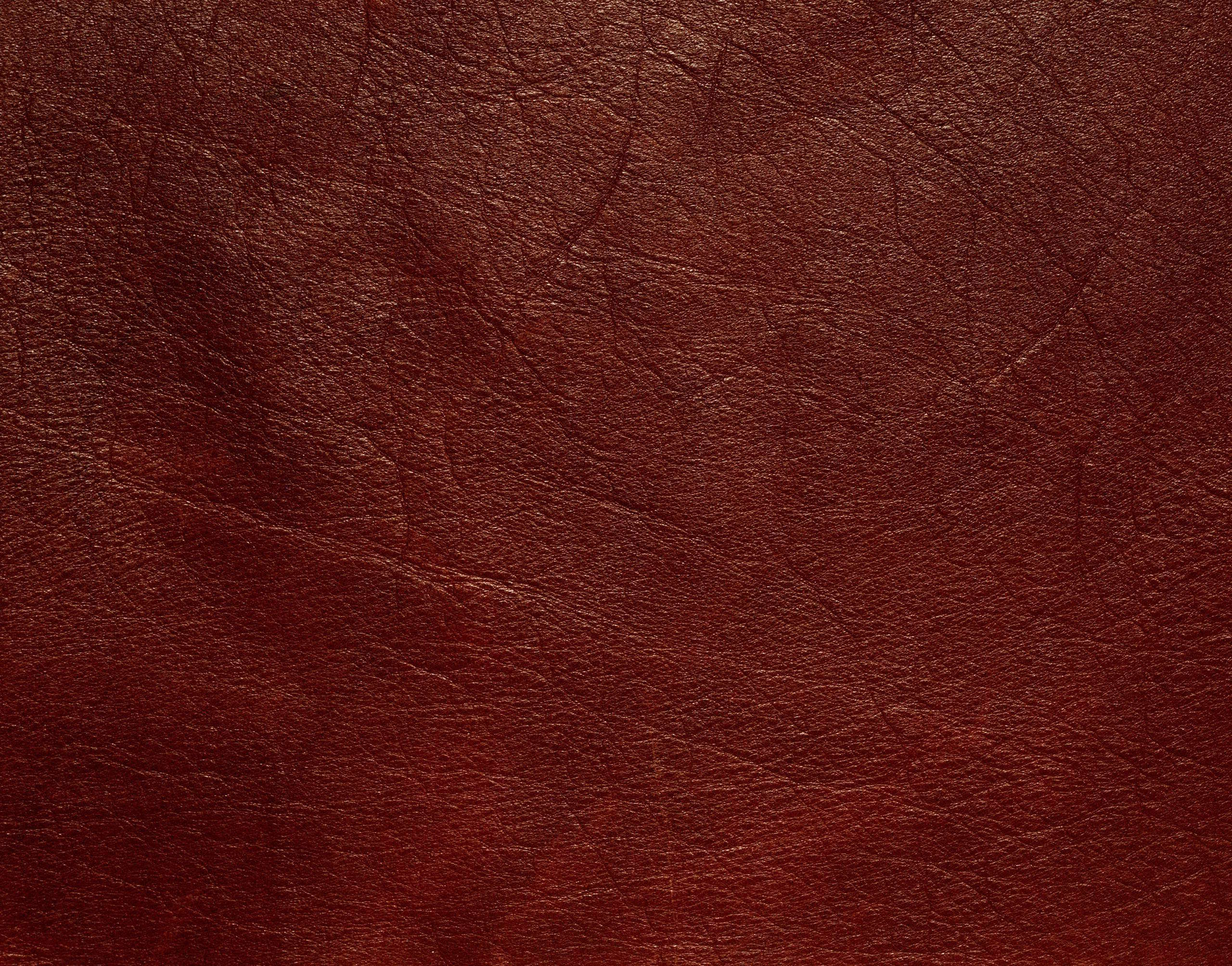 2560x2007 Skin Background. Alligator Skin Wallpaper, Reptile Skin Wallpaper and Under the Skin Wallpaper