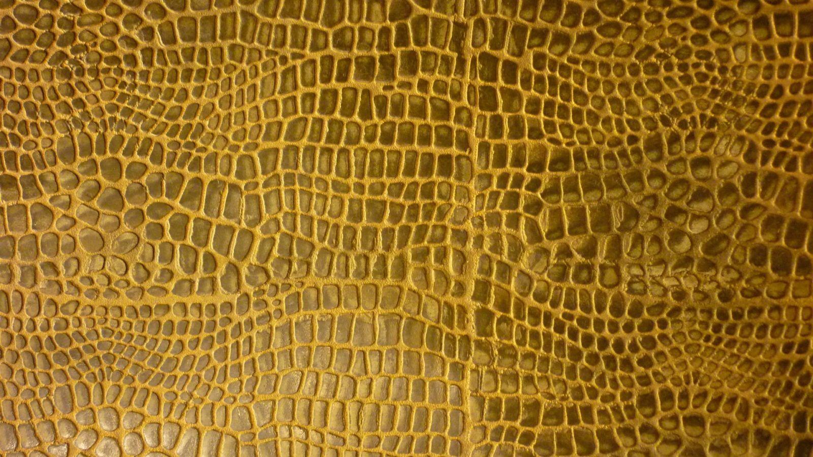 1600x900 Free download Crocodile Skin 18109 Good Wallpapercom [1600x900] for your Desktop, Mobile & Tablet. Explore
