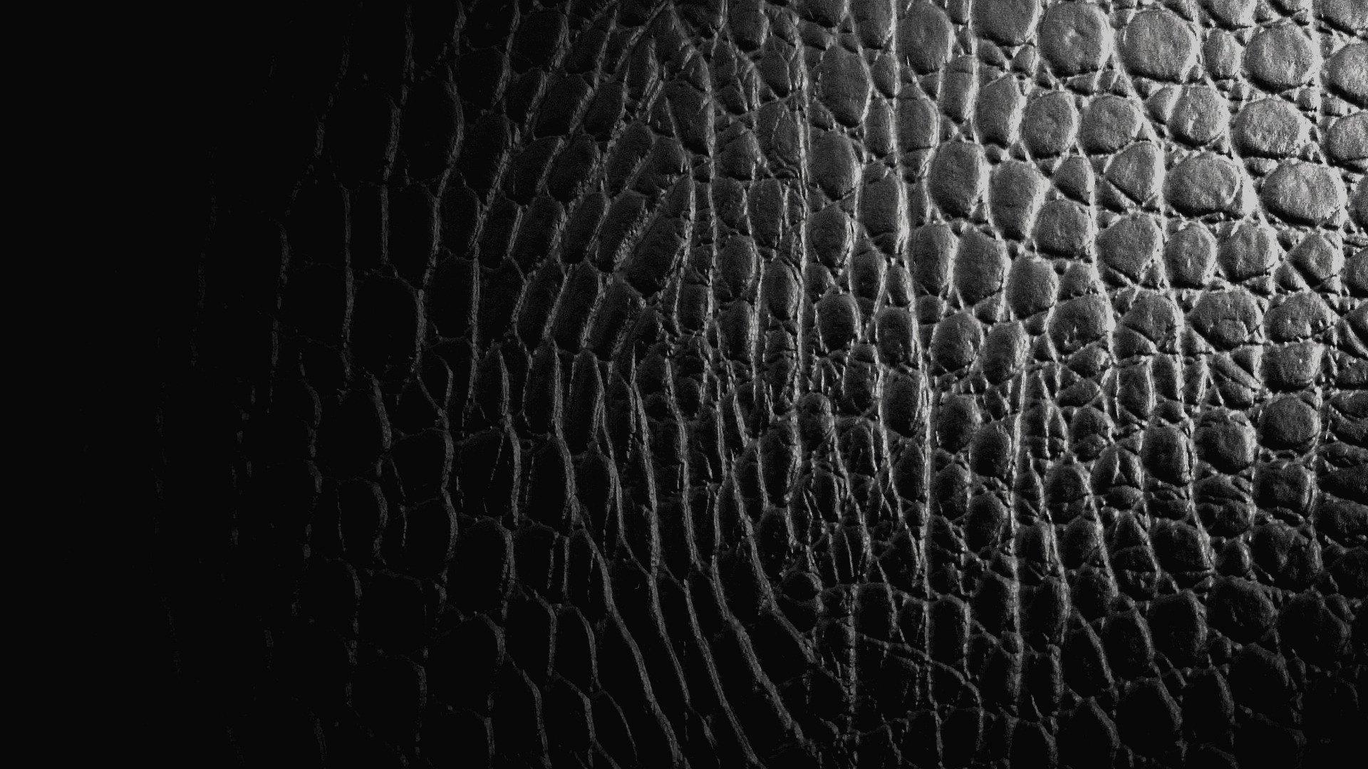 1920x1080 Alligator Print Wallpaper