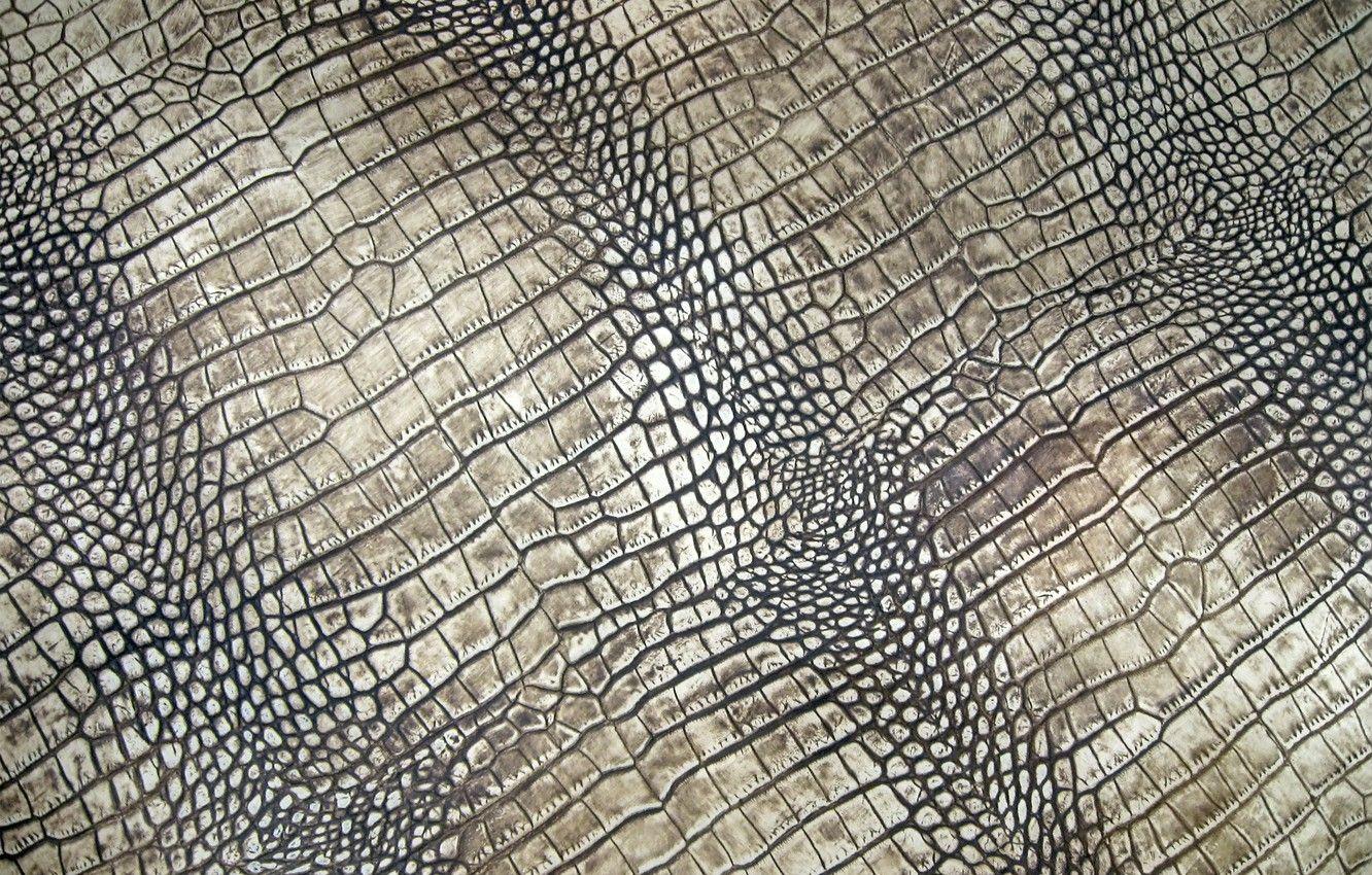 474152 African Queen Crocodile Snake Animal Skin Metallic Cream Grey Wallpaper