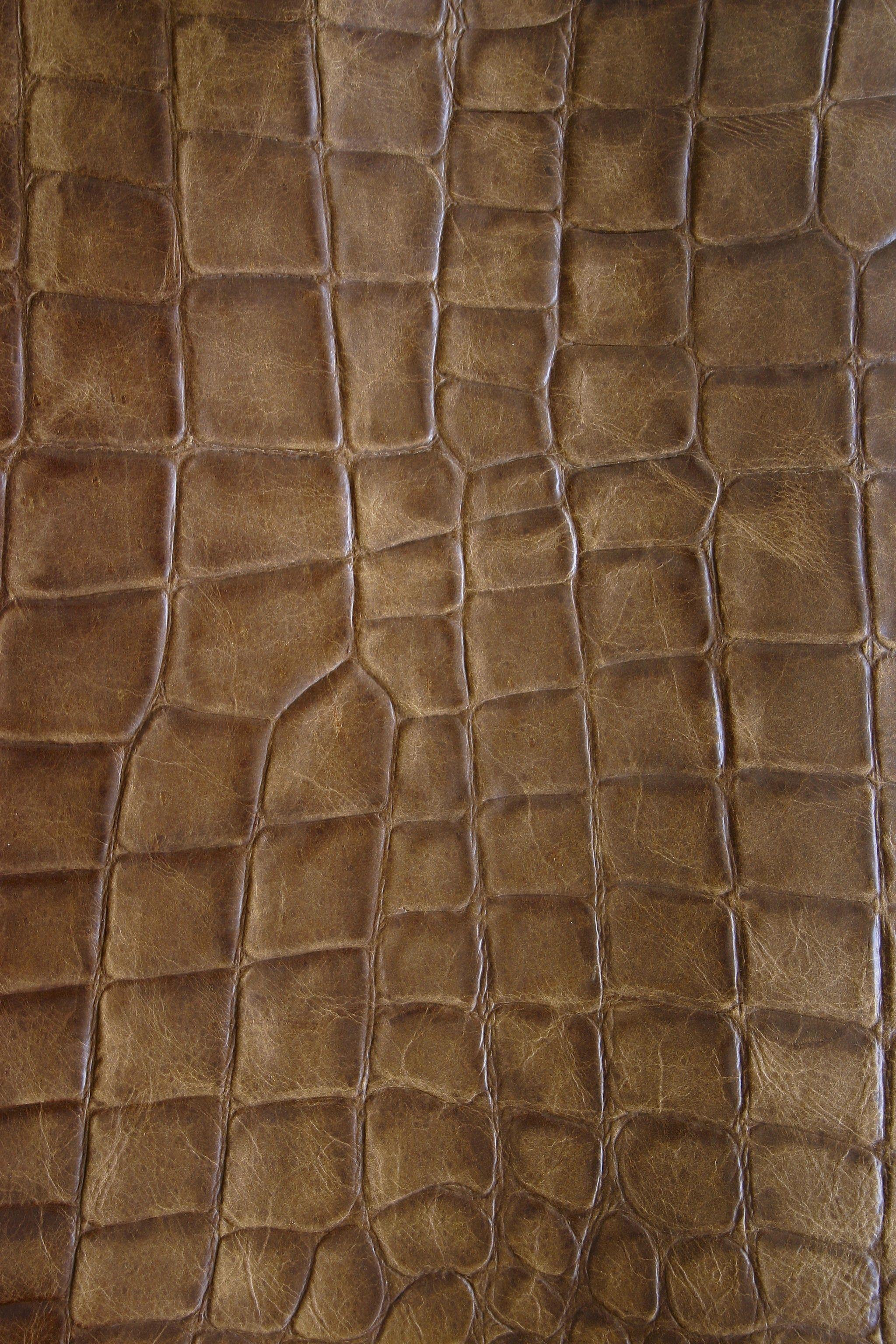 Crocodile Skin Wallpapers - Top Free Crocodile Skin Backgrounds