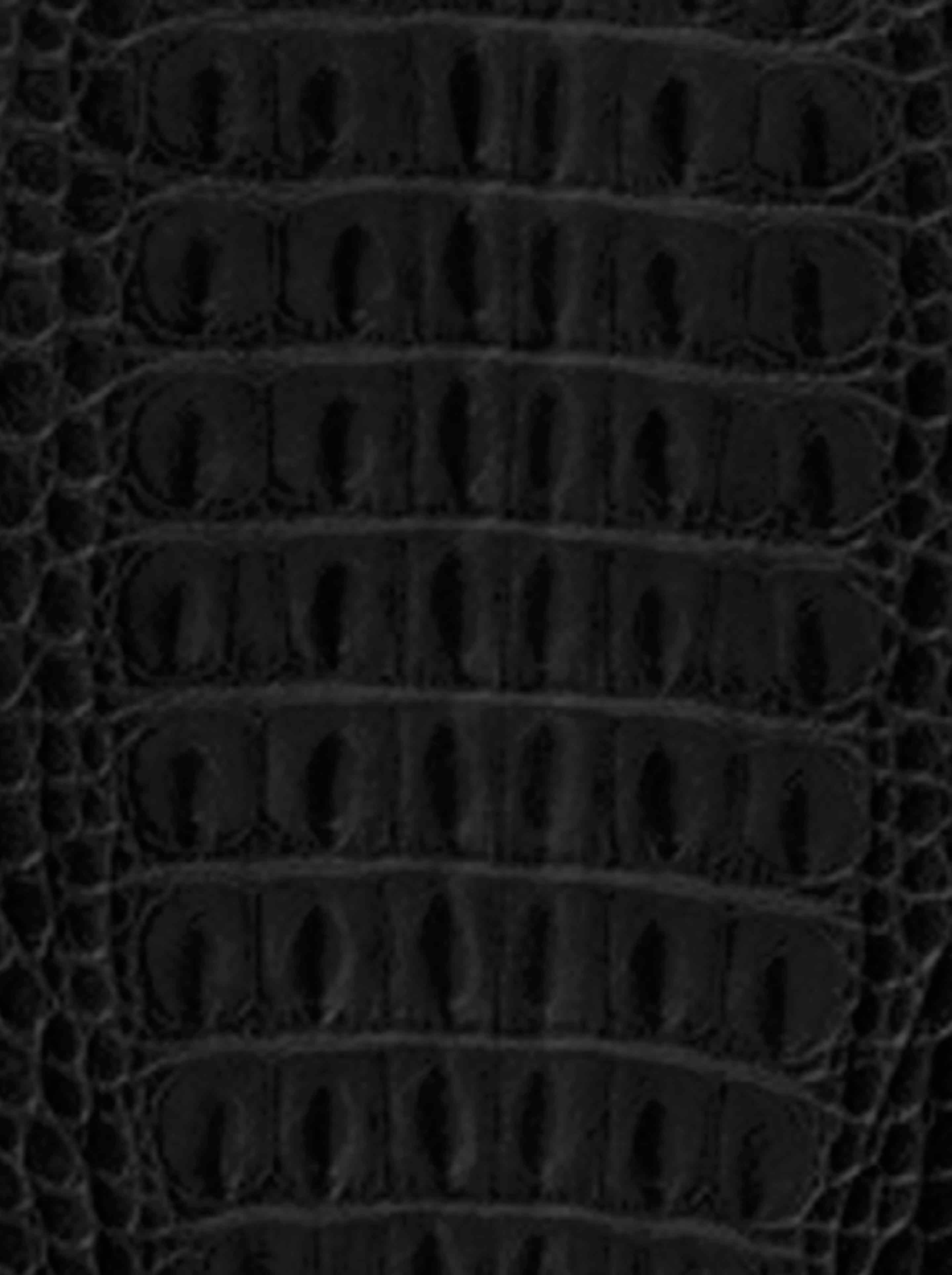 2879x3856 Black Crocodile Wallpaper