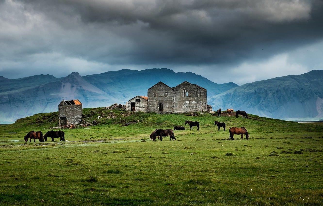 1332x850 Wallpaper house, grass, storm, mountains, horses, farm, ruin