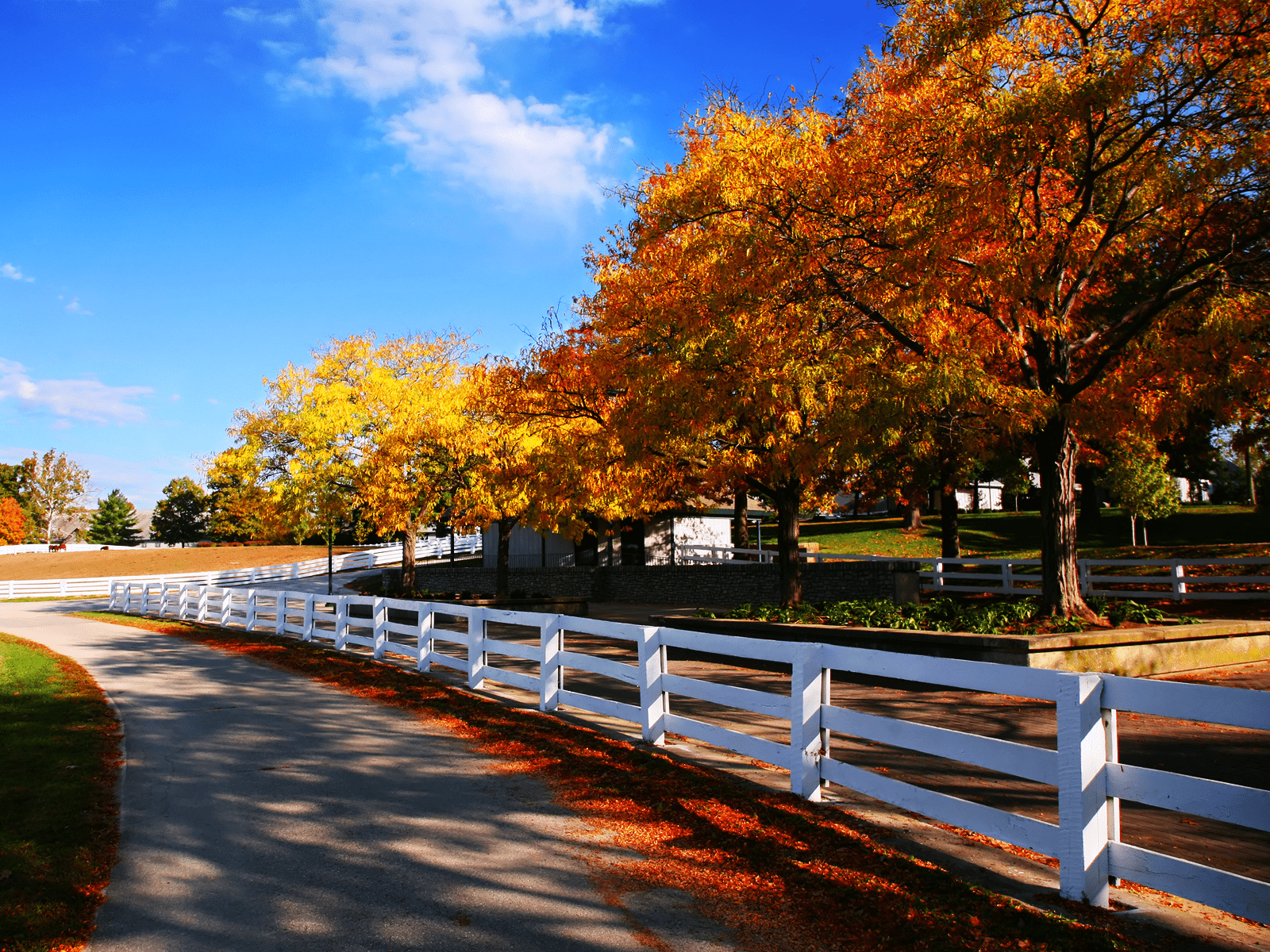 1600x1200 Horse Farm Autumn wallpaper. This Year's Election is About Nothing