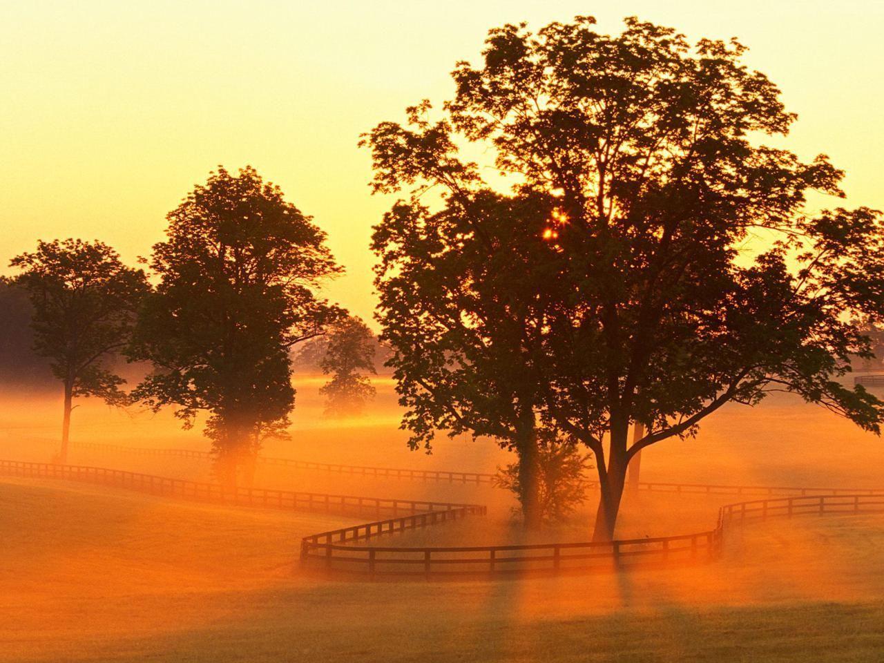 1280x960 farm with sun rise. Картинка Horse Farm Sunrise Versailles
