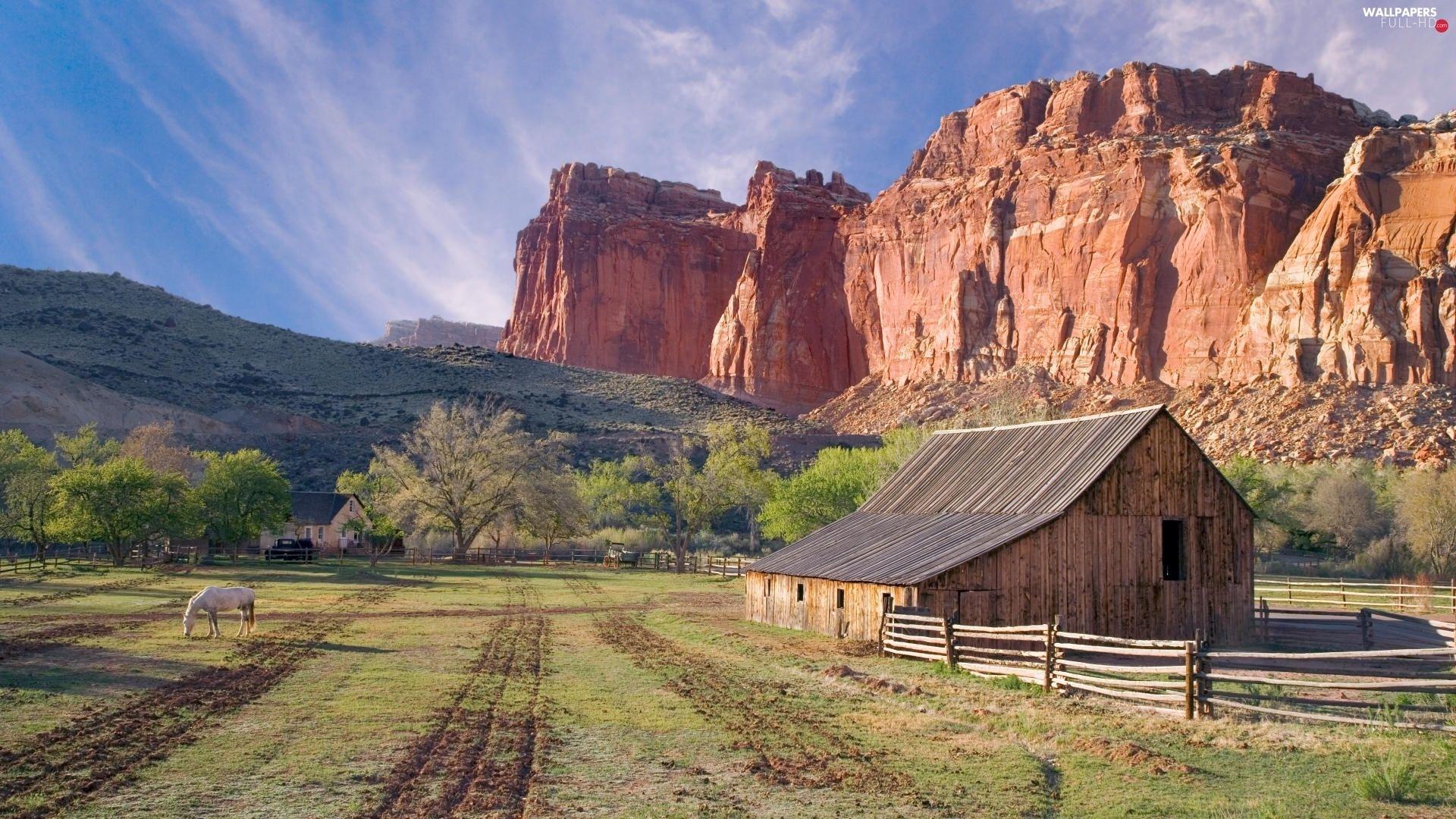 1920x1080 canyon, Horse, farm, pasture HD Wallpaper: 1920x1080