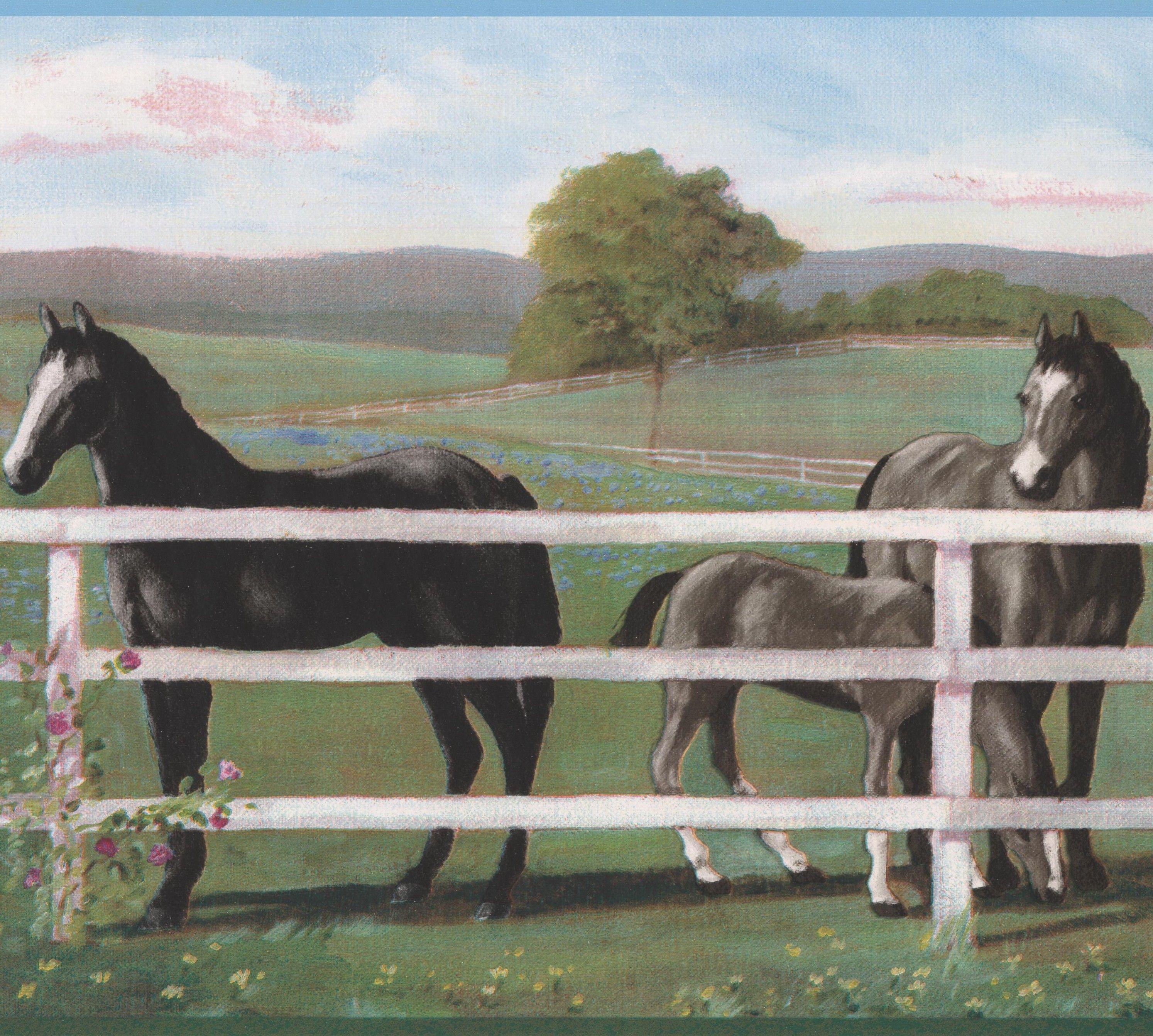 2988x2684 Black Horse behind White Fence Farm Wallpaper Border Retro Design