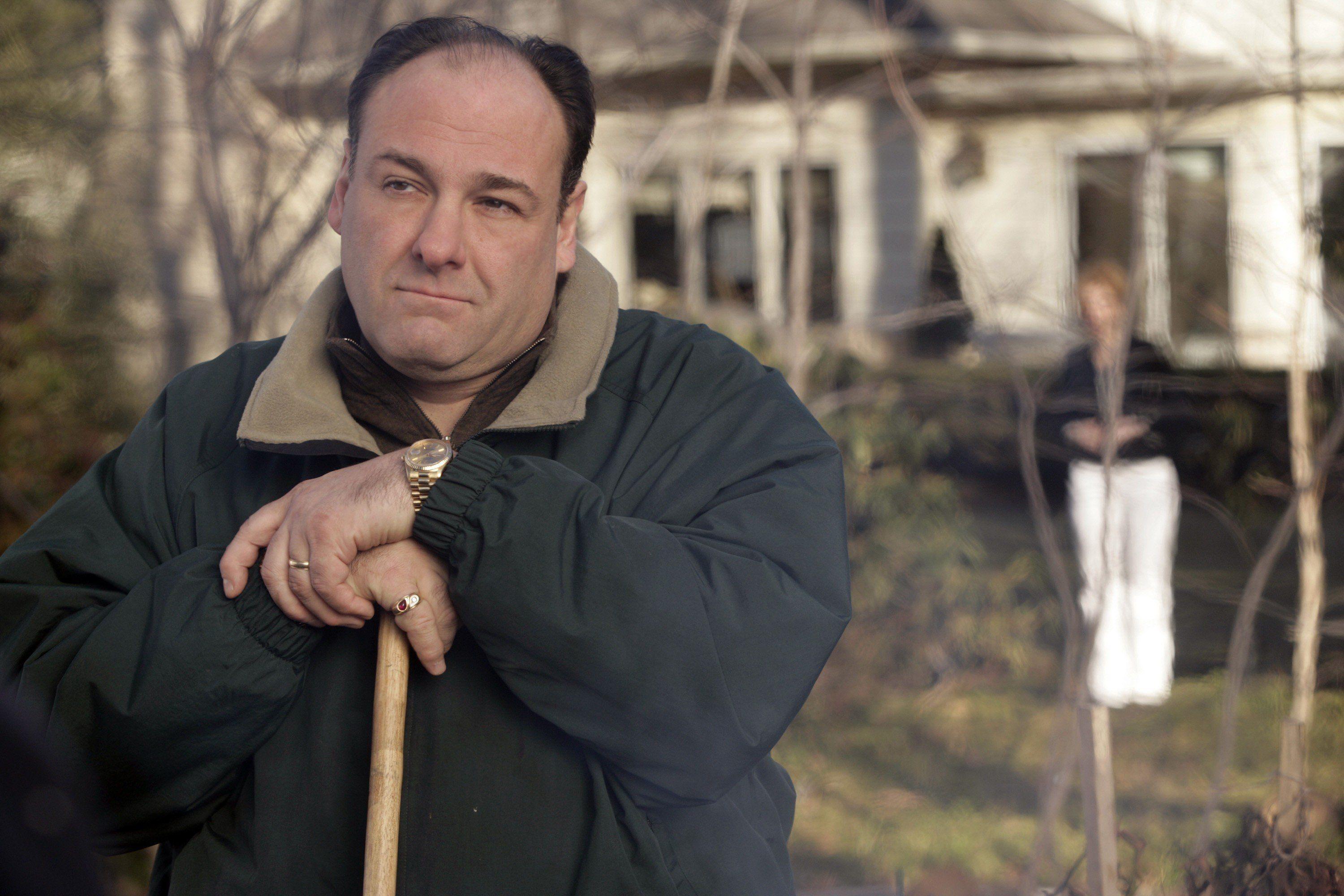3000x2000 james, Gandolfini, , The, Sopranos Wallpaper HD / Desktop