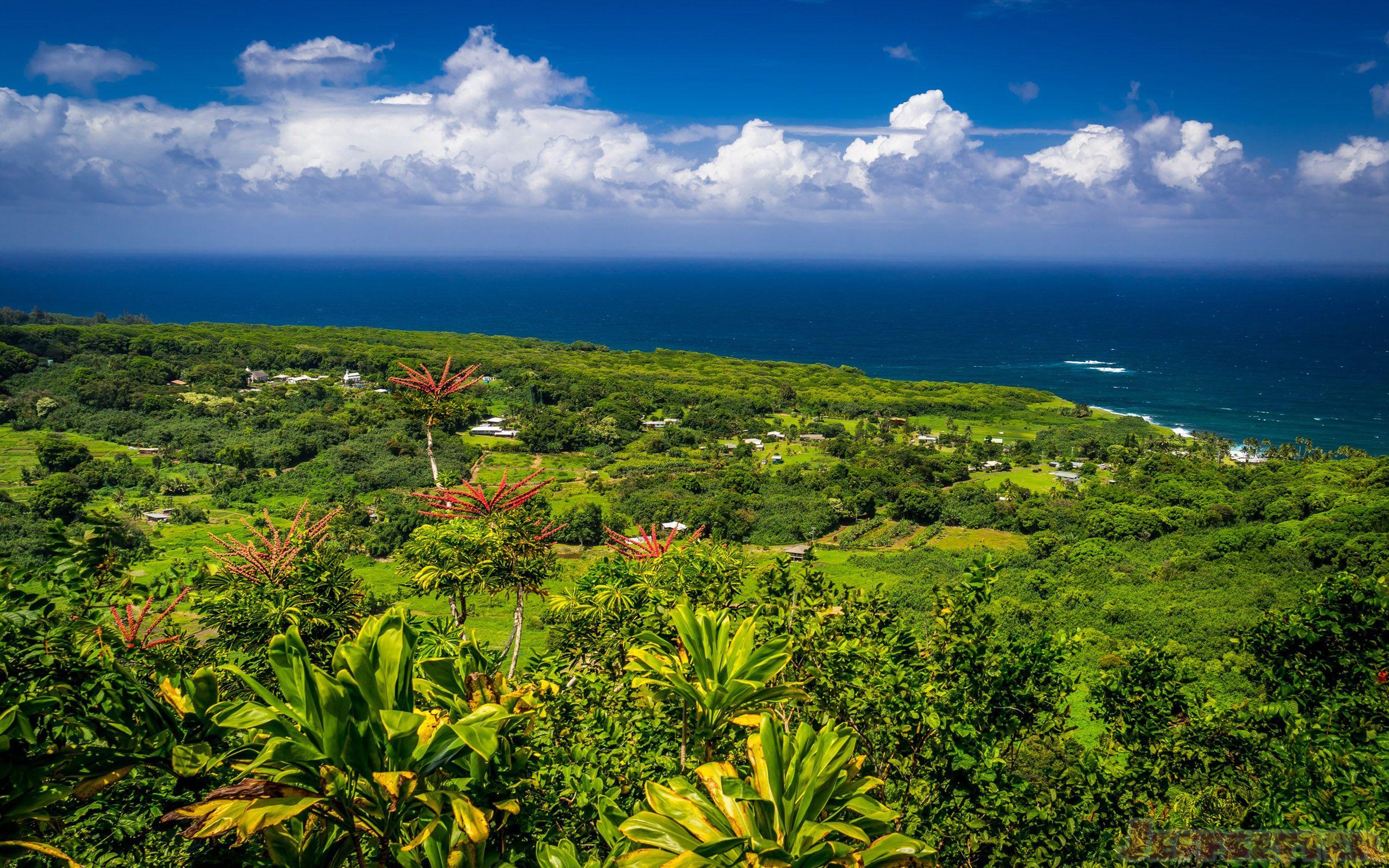 2560x1600 Hana, Maui, Hawaii Beautiful Desktop Wallpaper HD Widescreen