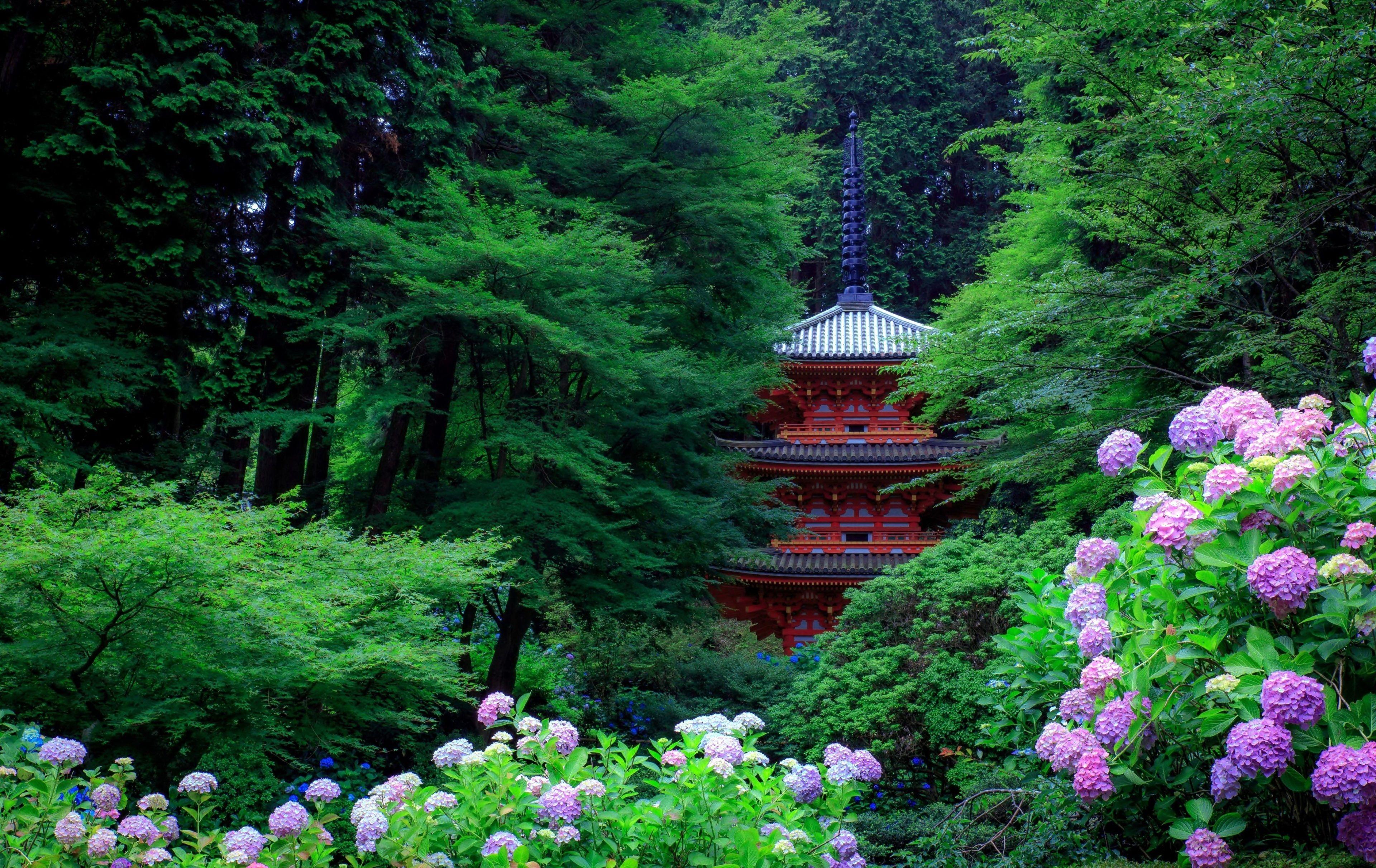 3840x2423 3840x2423 garden 4k best desktop wallpaper free download