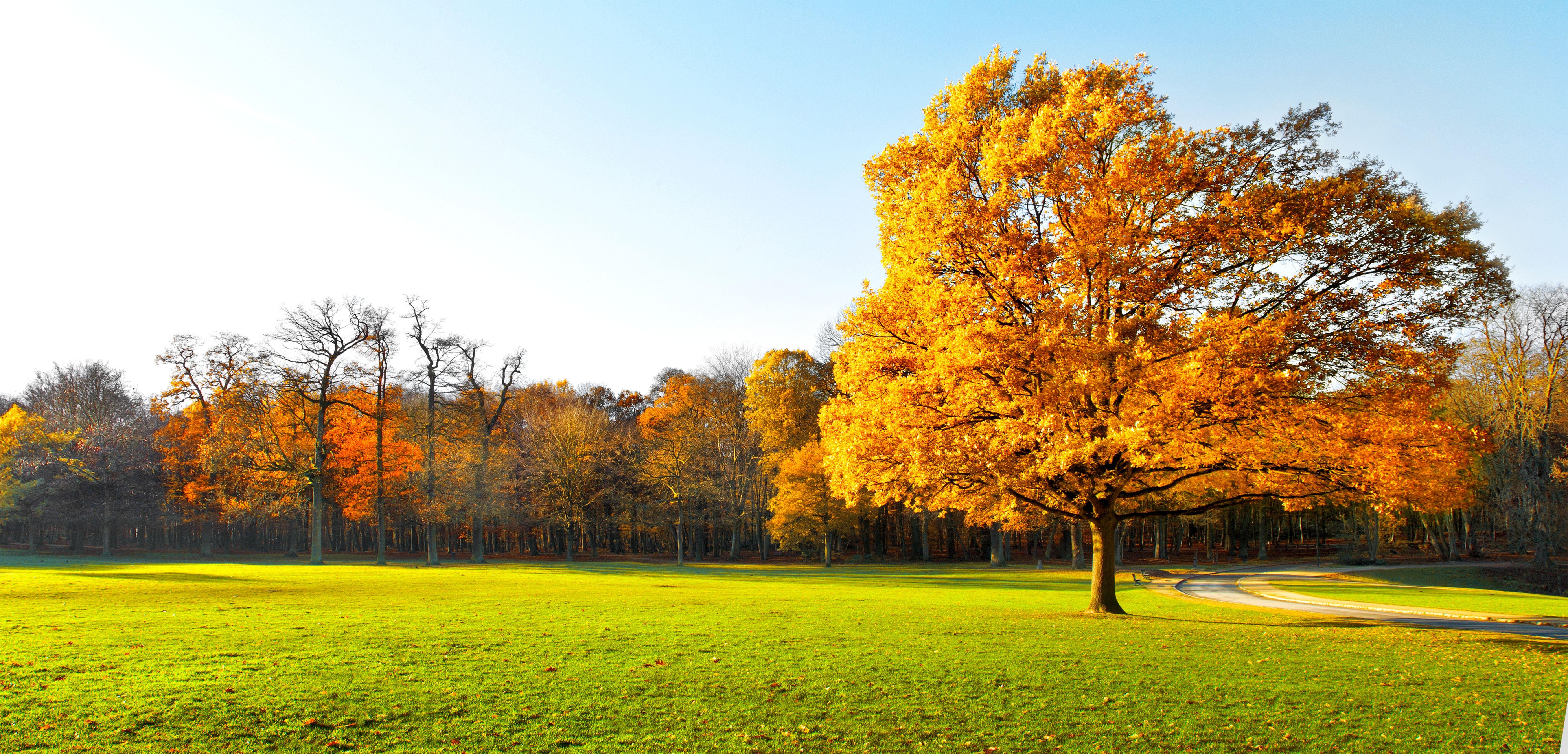 7124x3426 Free download 4K wallpaper Landscapes nature view landscape