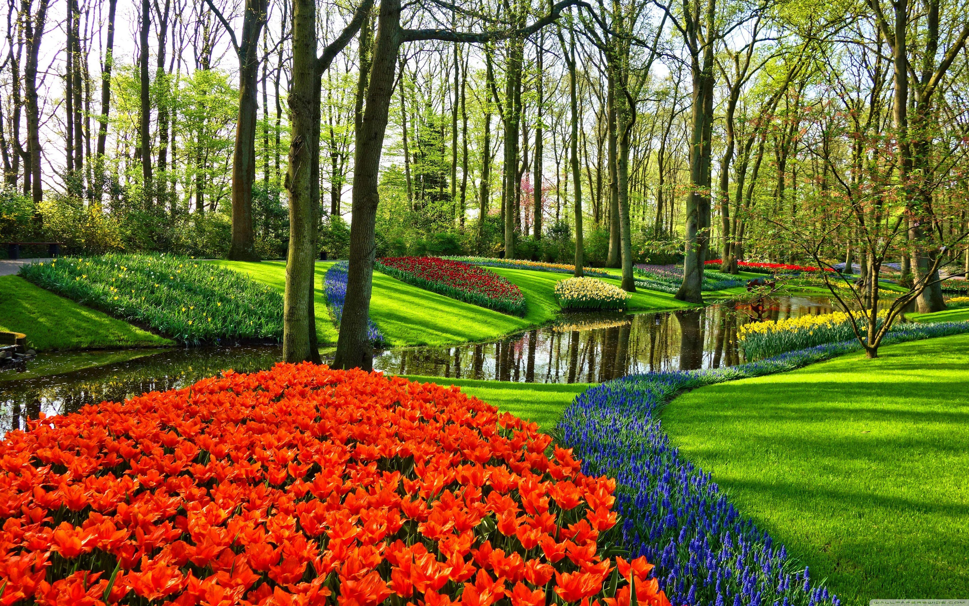 3840x2400 Wallpaper Garden