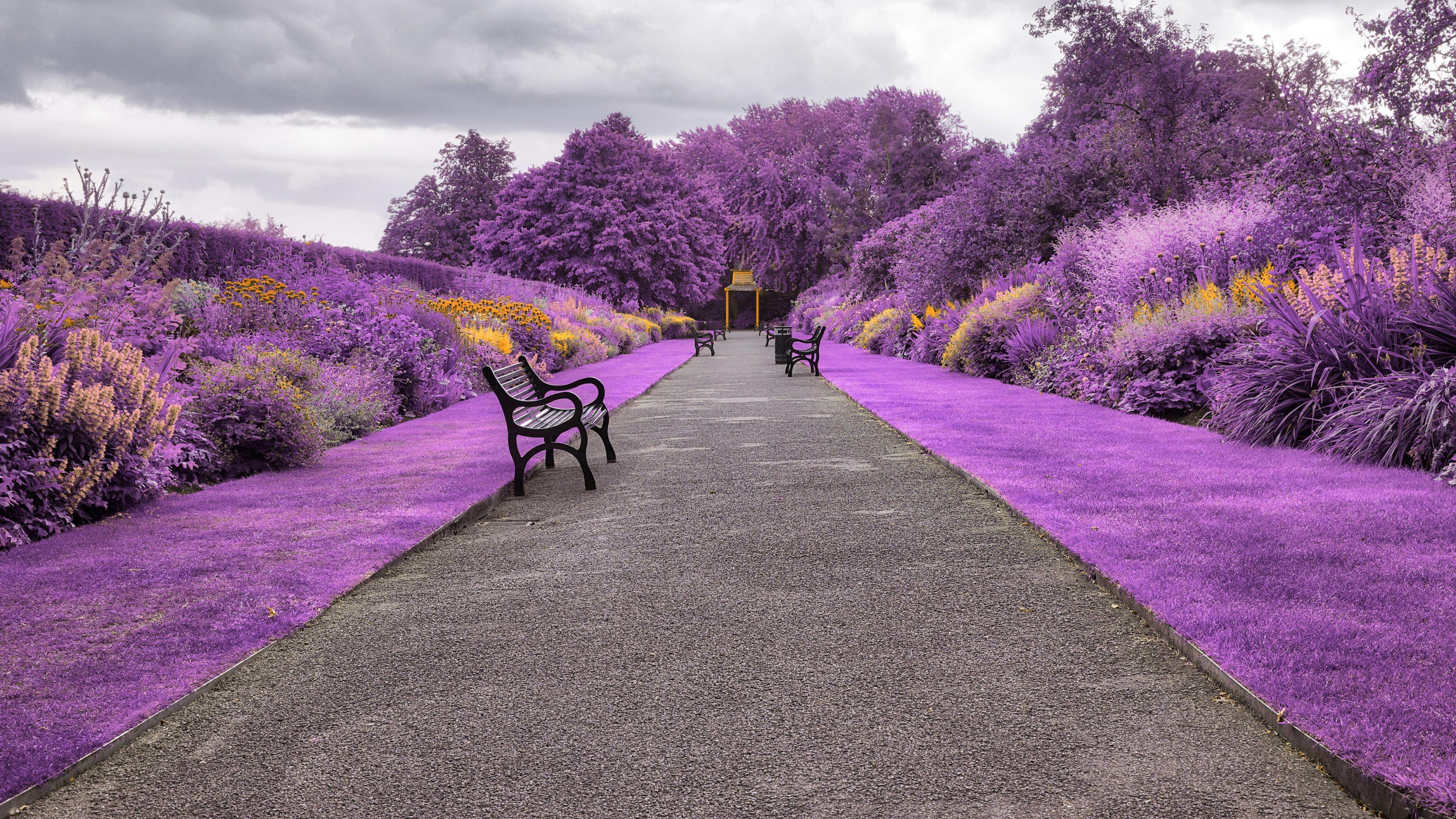 3840x2160 Belfast Botanic Gardens in Northern Ireland 4K Wallpaper