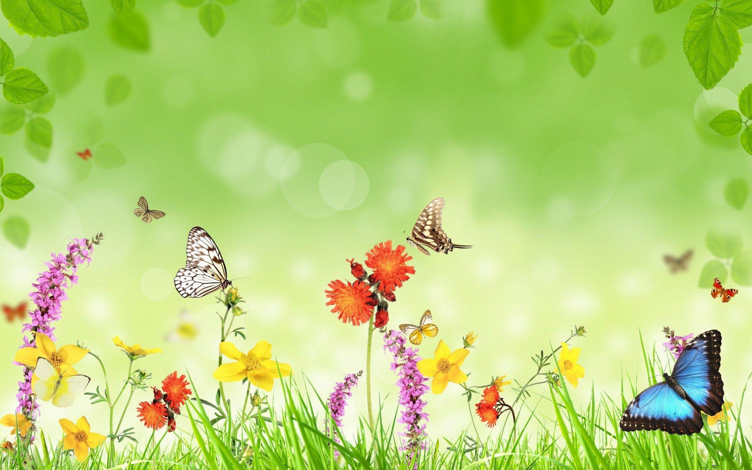 2560x1600 Butterfly Garden Desktop Wallpaper Wallpaper Download