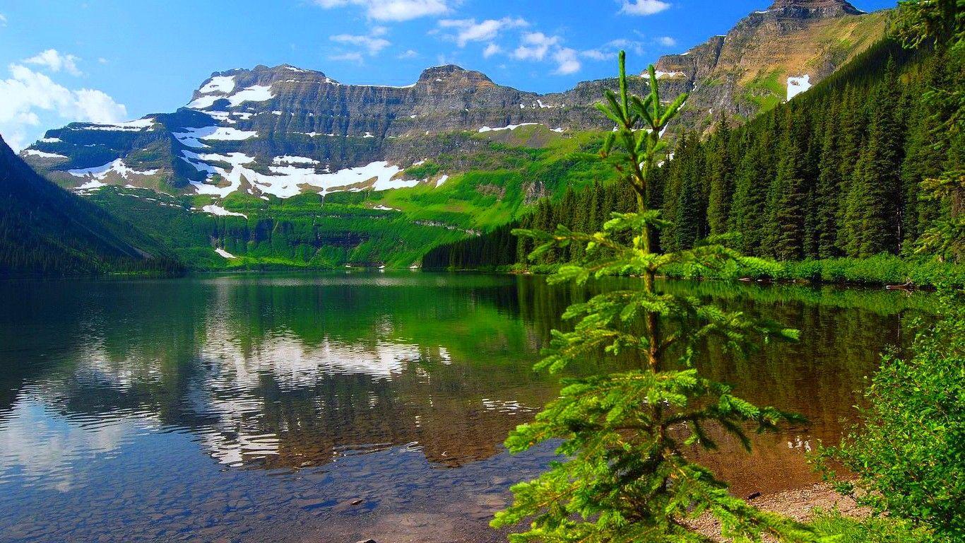 1366x768 Lakes: Reflections Green Forest Lake Sky Trees Nature Beautiful