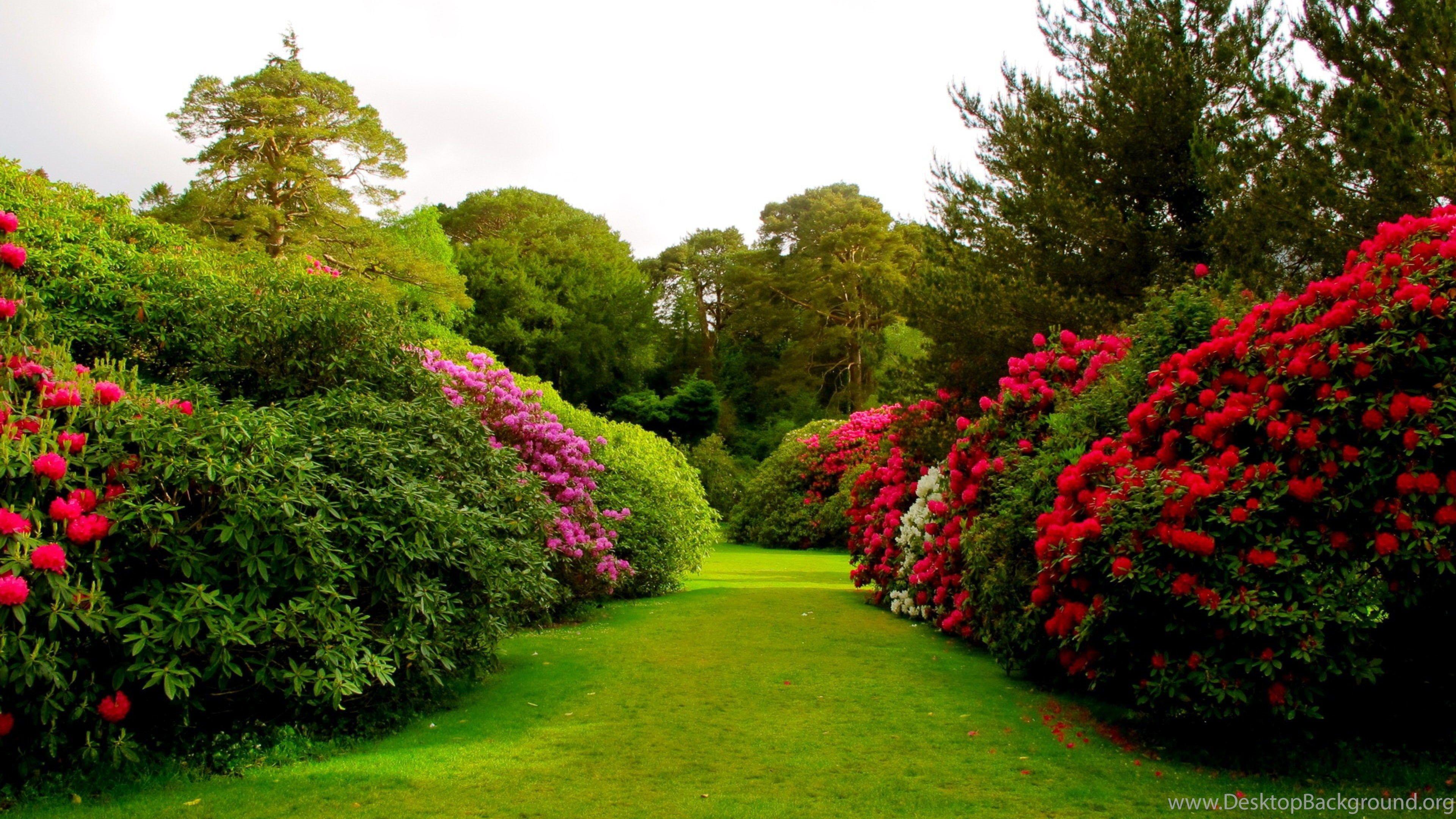 Garden 4k Wallpapers Top Free Garden 4k Backgrounds WallpaperAccess Garden 4k Wallpapers Top Free Garden 4k Backgrounds WallpaperAccess