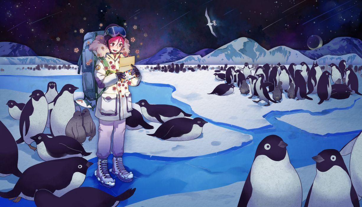 1225x700 Free Matsuoka Rin Penguin Night Sky Backpack wallpaperx2000