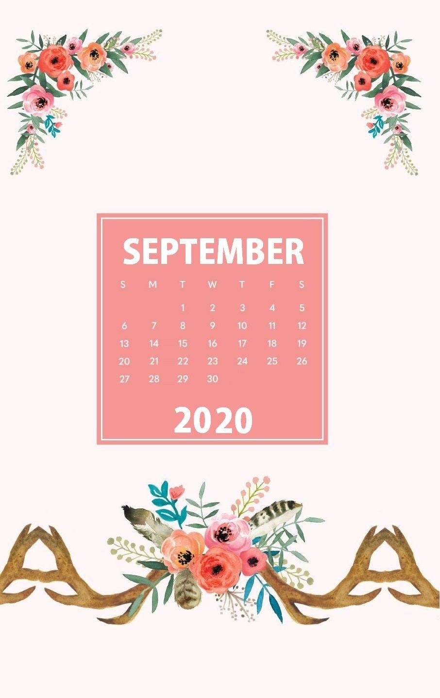 906x1436 iPhone September 2020 Wallpaper