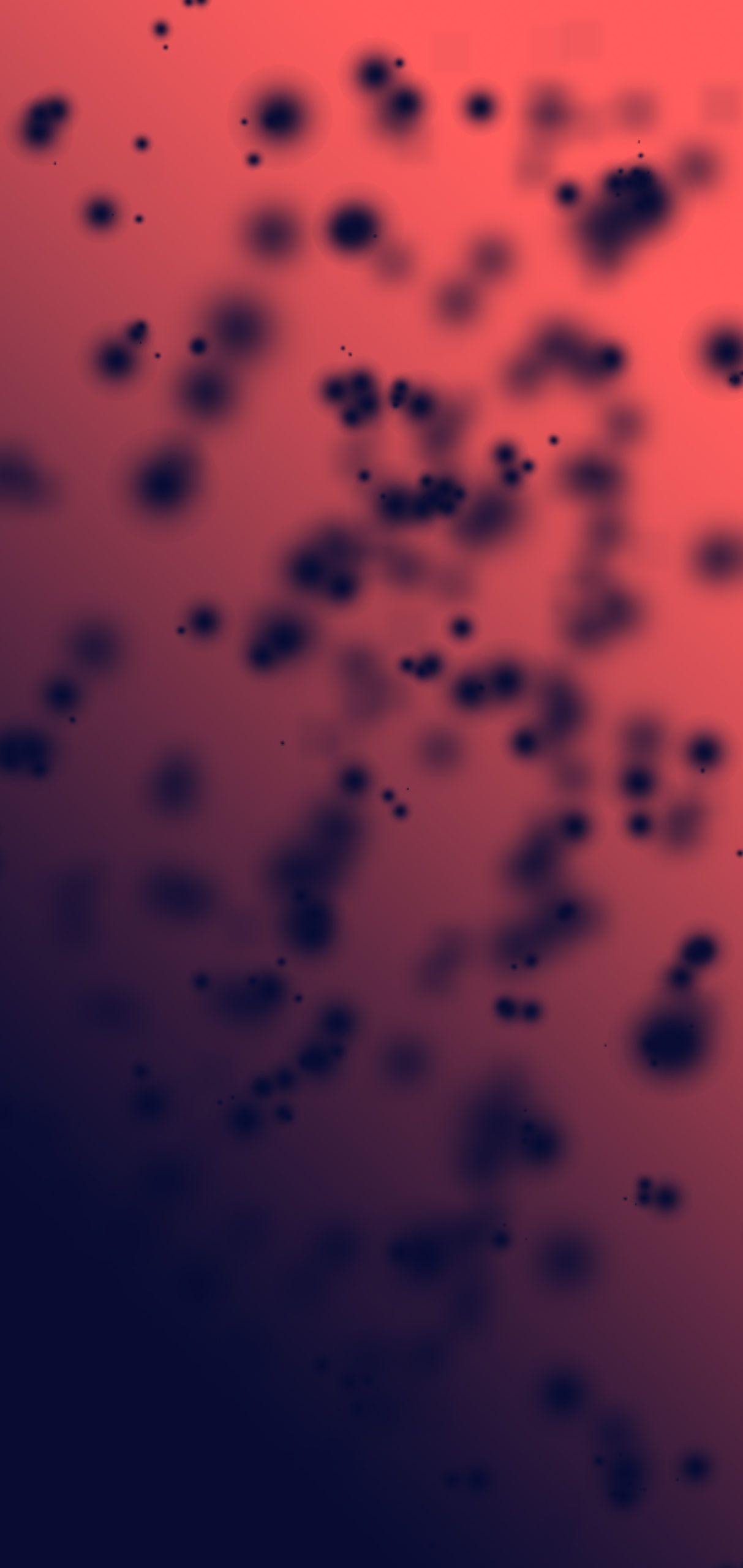 1213x2560 official Samsung Galaxy Note 20 Wallpaper Download