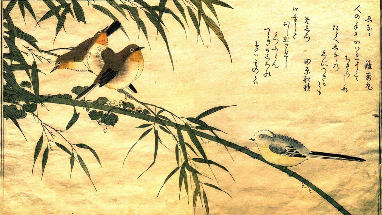Cute Bird Art Wallpapers Top Free Cute Bird Art Backgrounds — free download