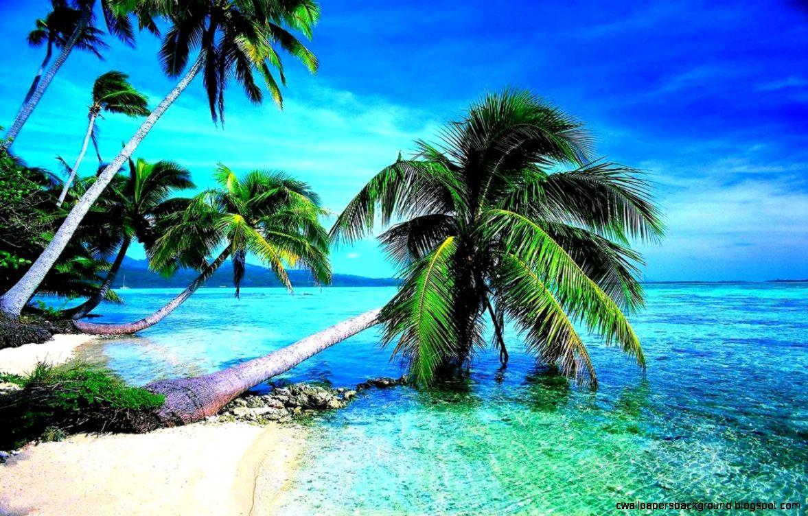 Tropical Scenery Wallpapers - Top Free ...
