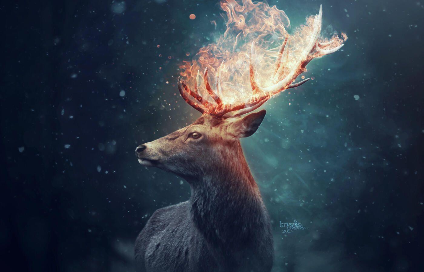 1400x900 The Deer 1400x900 Resolution HD 4k Wallpaper, Image
