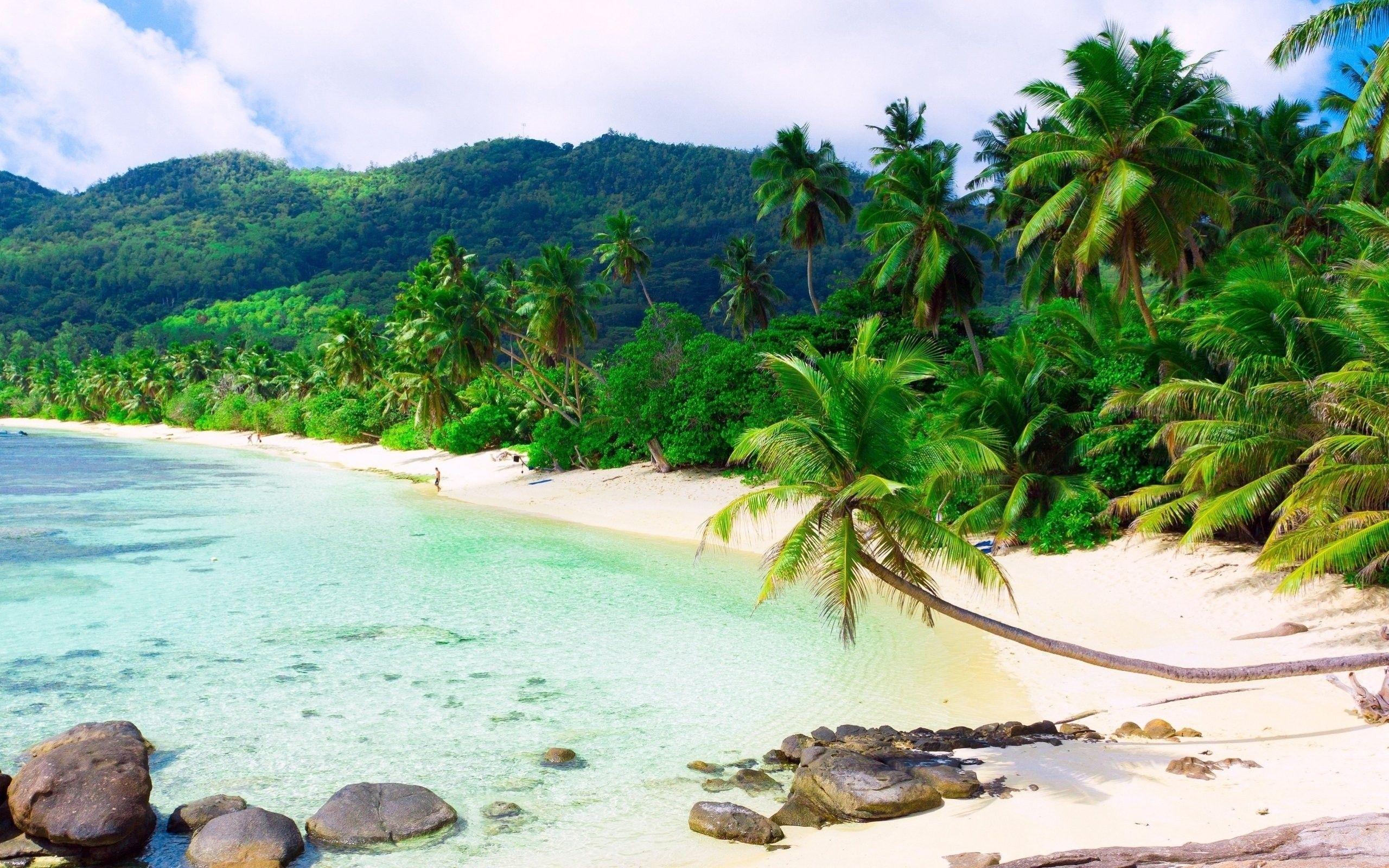 Tropical Beach Landscape Wallpapers - Top Free Tropical Beach Landscape ...