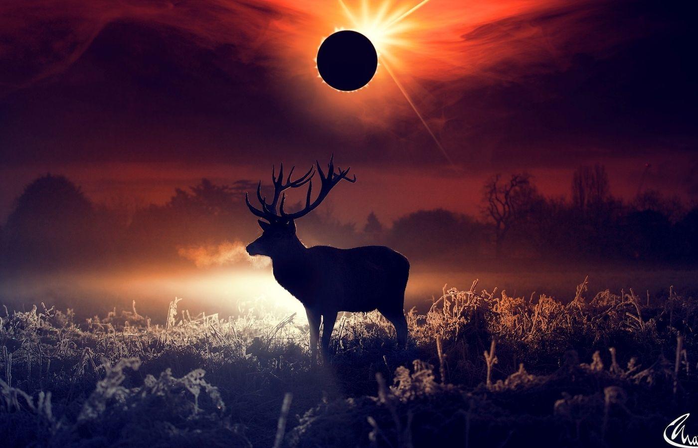 1400x900 Deer Fantasy Art 1400x900 Resolution HD 4k Wallpaper