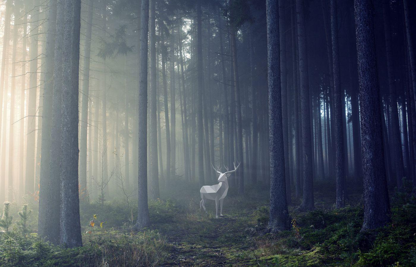 1400x900 Deer Illustration 4k 1400x900 Resolution HD 4k Wallpaper