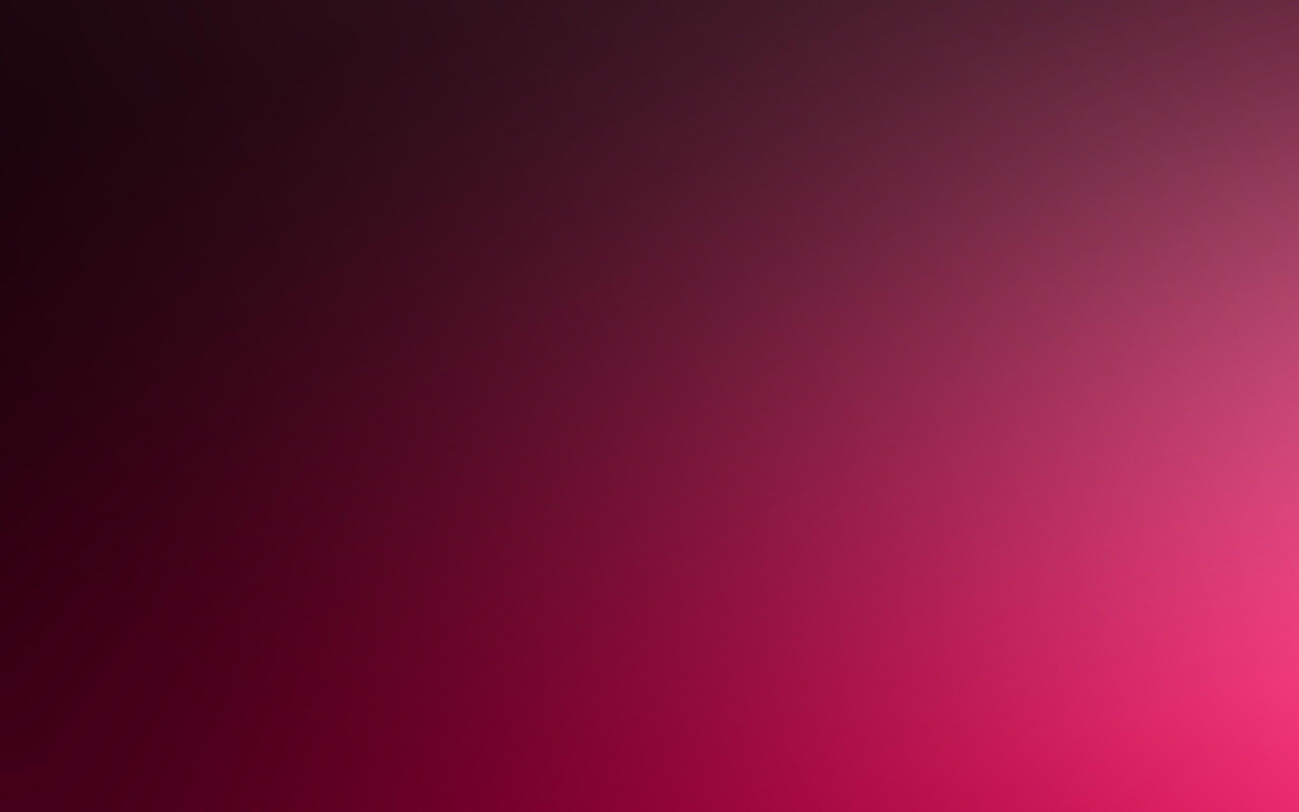 2560x1600 Free Magenta Wallpaper