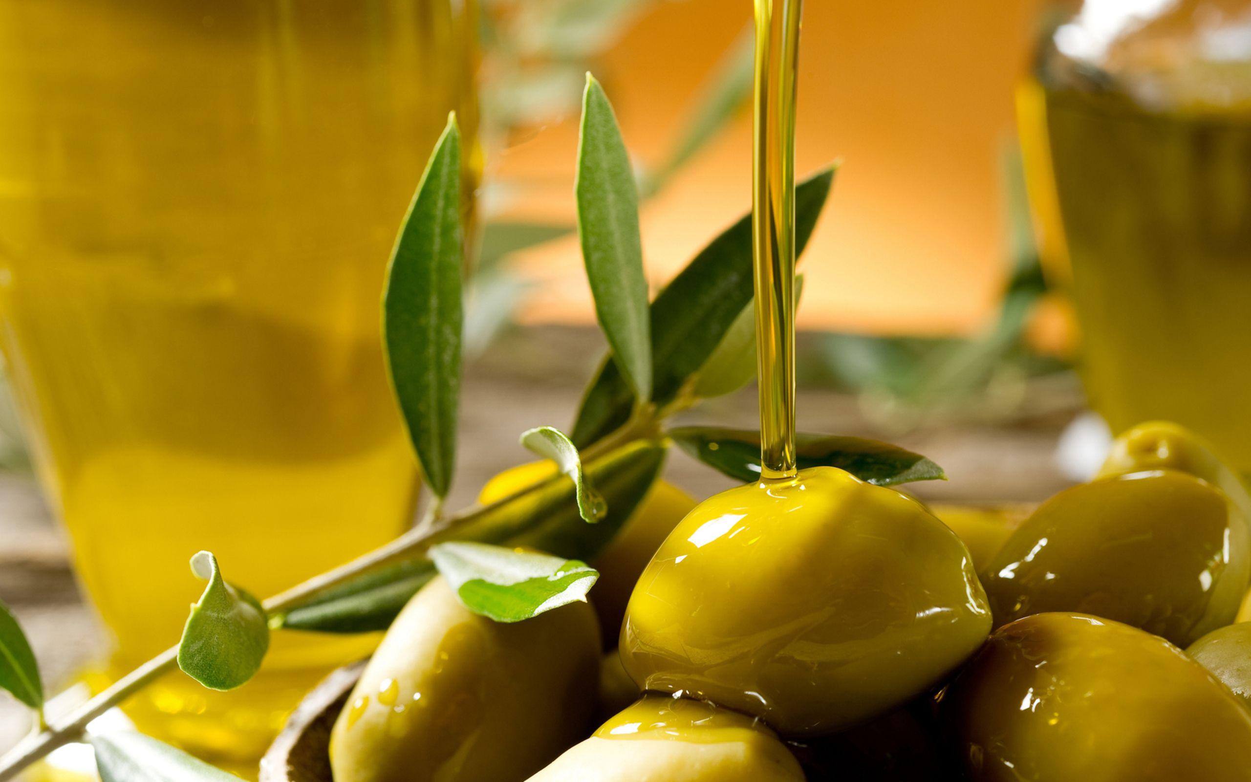 2560x1600 Olive HD Wallpaper and Background Image