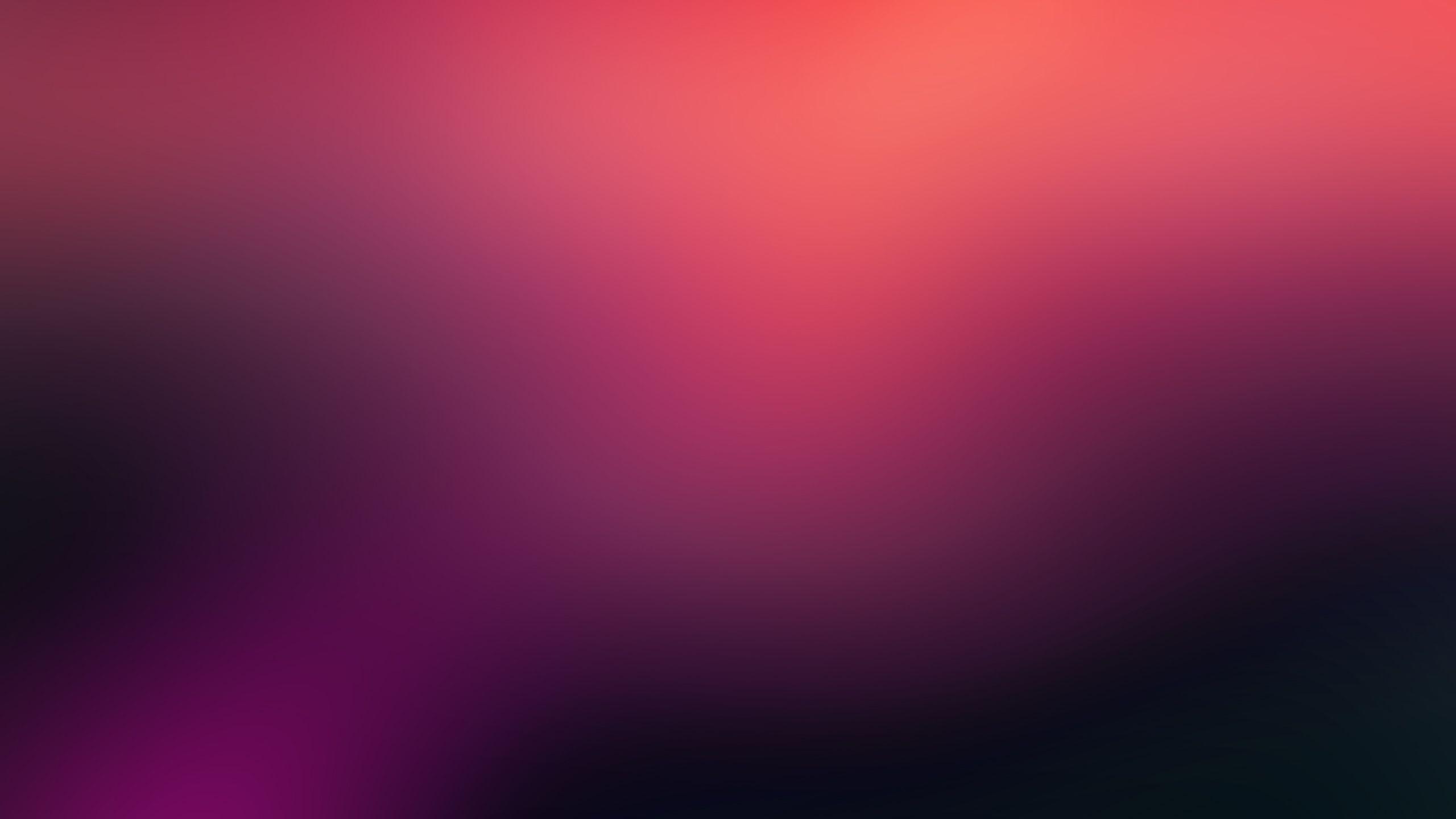 2560x1440 Magenta Wallpaper 29053 2560x1440px