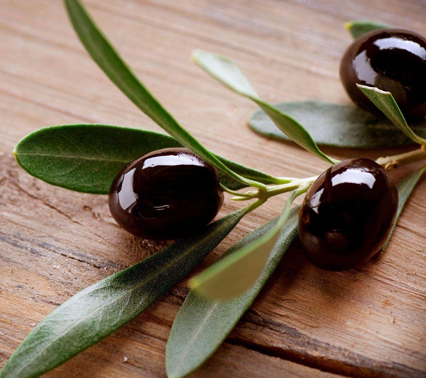 1440x1280 Free download Olive HD Widescreen Wallpaper wallpaper at