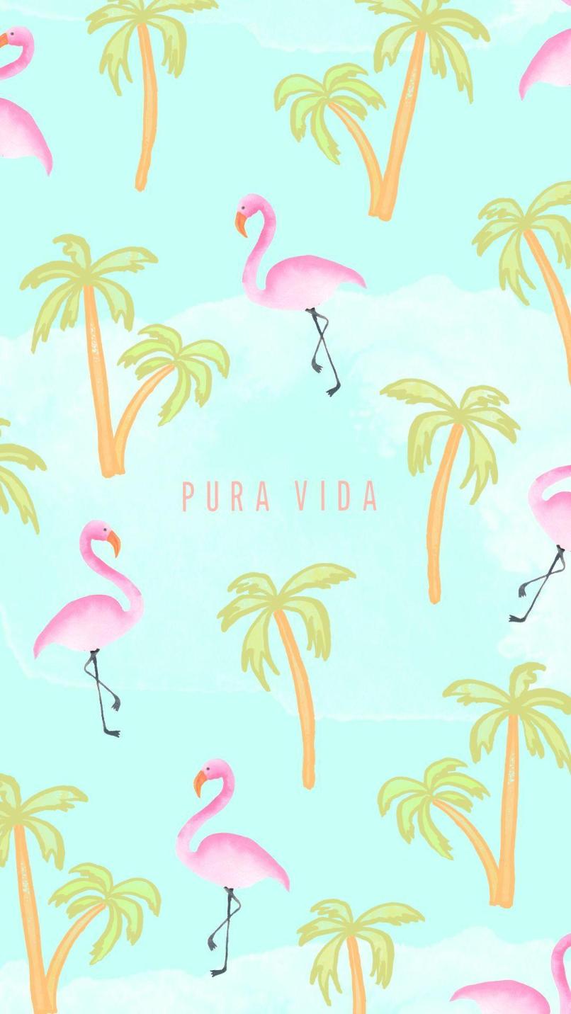 806x1432 Pura Vida Wallpaper