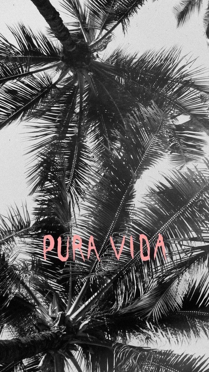 720x1280 Pura Vida uploaded