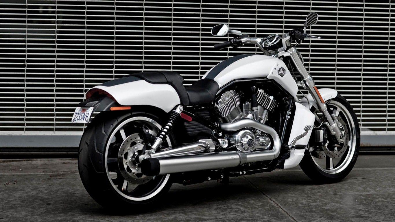 1366x768 Harley Davidson V Rod Muscle White Motorcycle V Rod