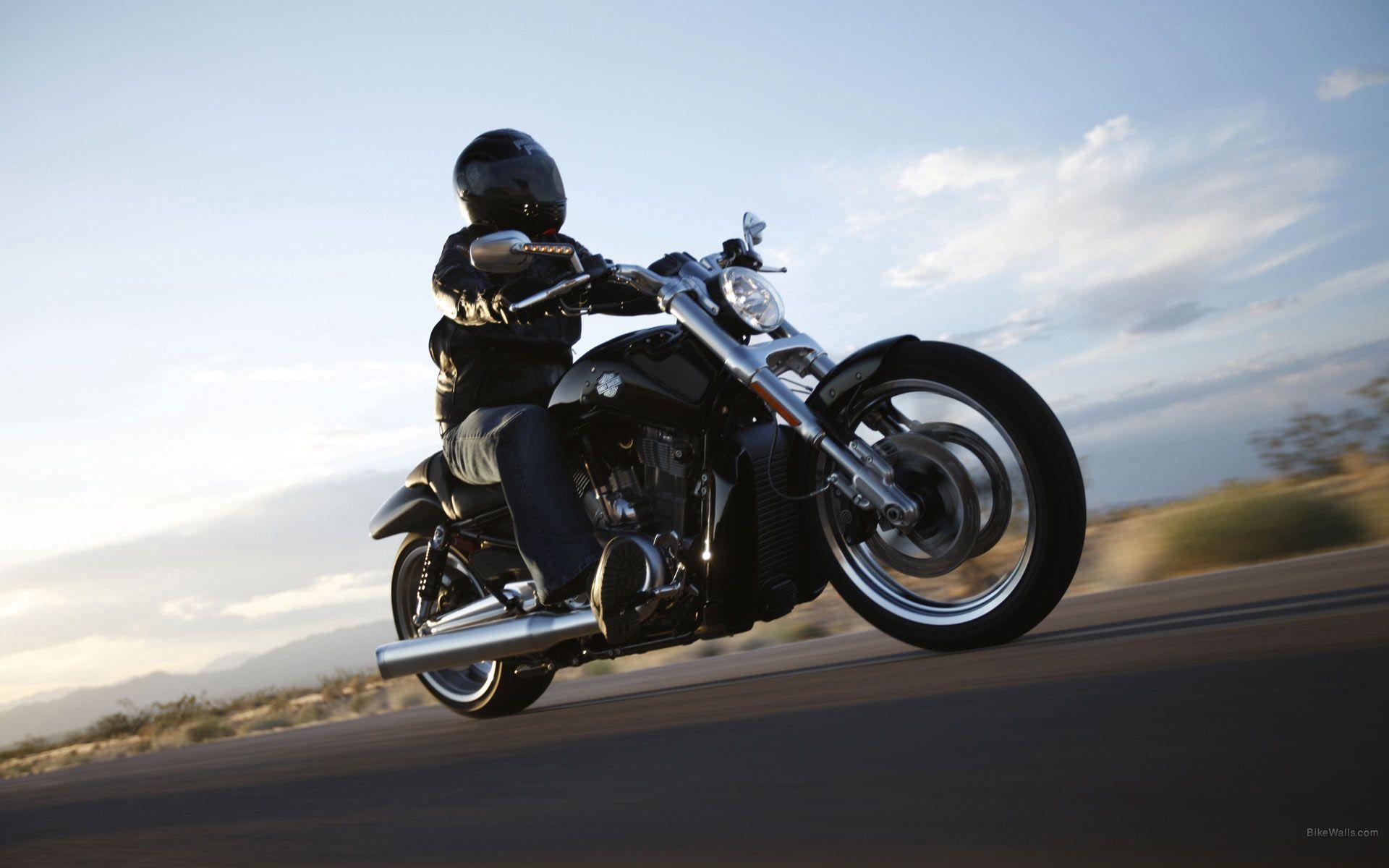 1920x1200 Harley Davidson VRSCF V Rod Muscle 1920 X 1200 Wallpaper