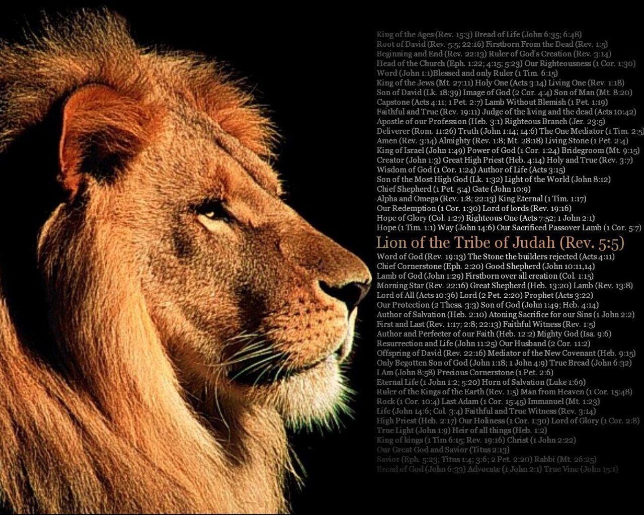 Lion Motivation Bible Wallpapers - Top Free Lion Motivation Bible  Backgrounds - WallpaperAccess