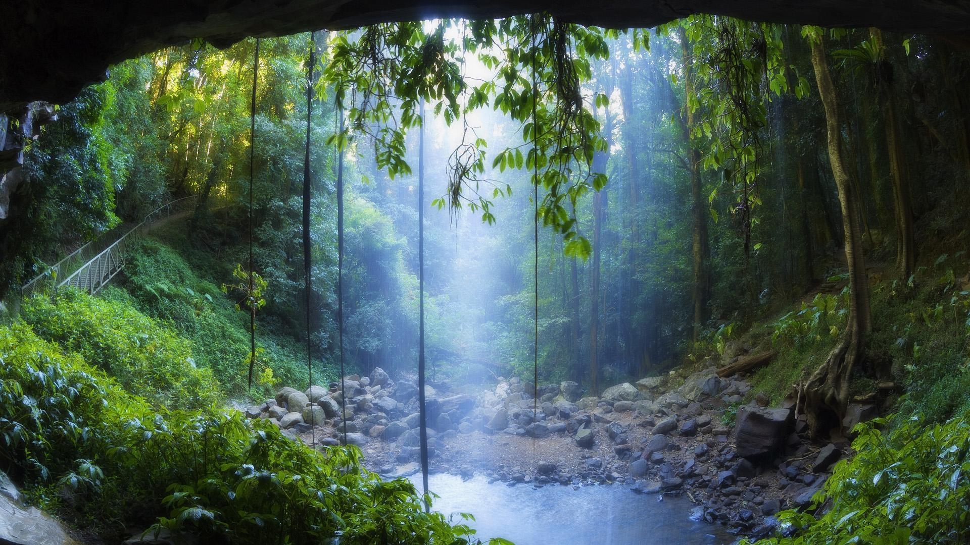 1920x1080 Free download Rainforest Waterfall Wallpaper HD Resolution at