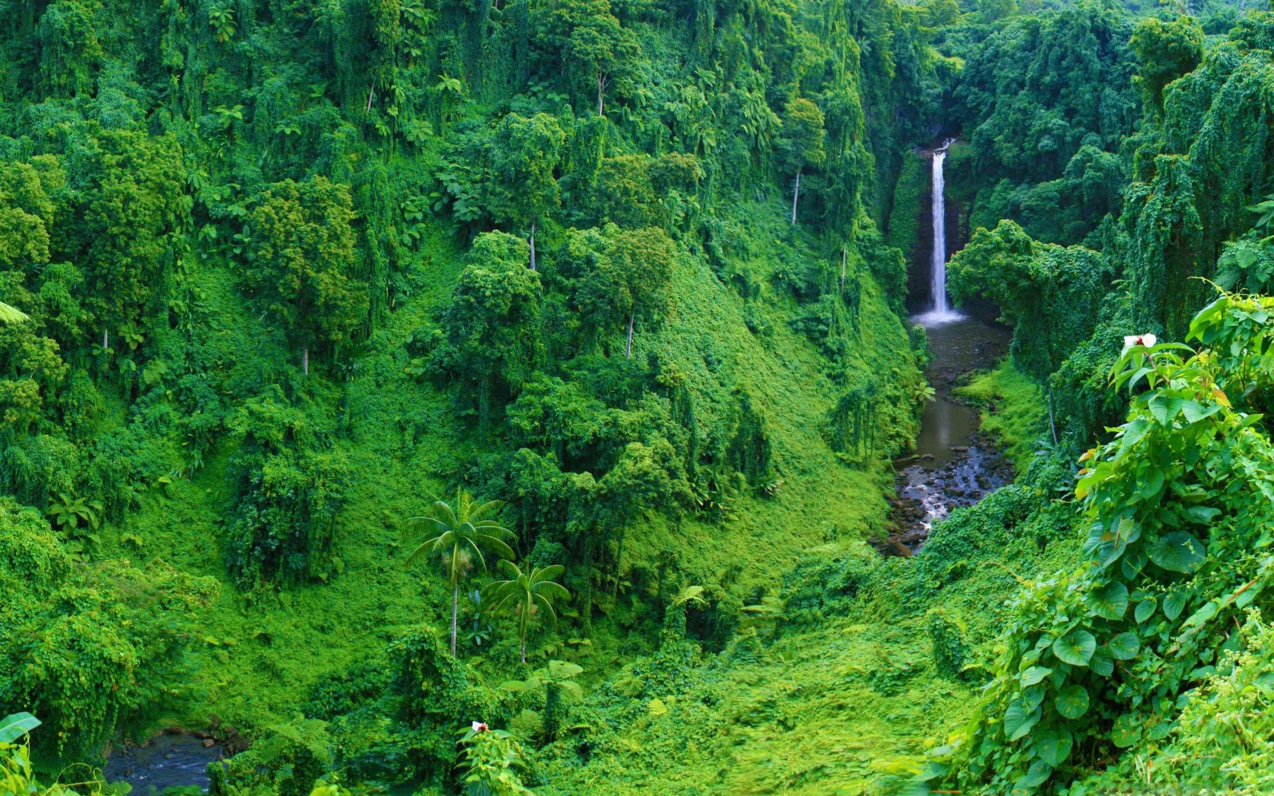 2560x1600 Best waterfall Mac Wallpaper Free HD Download