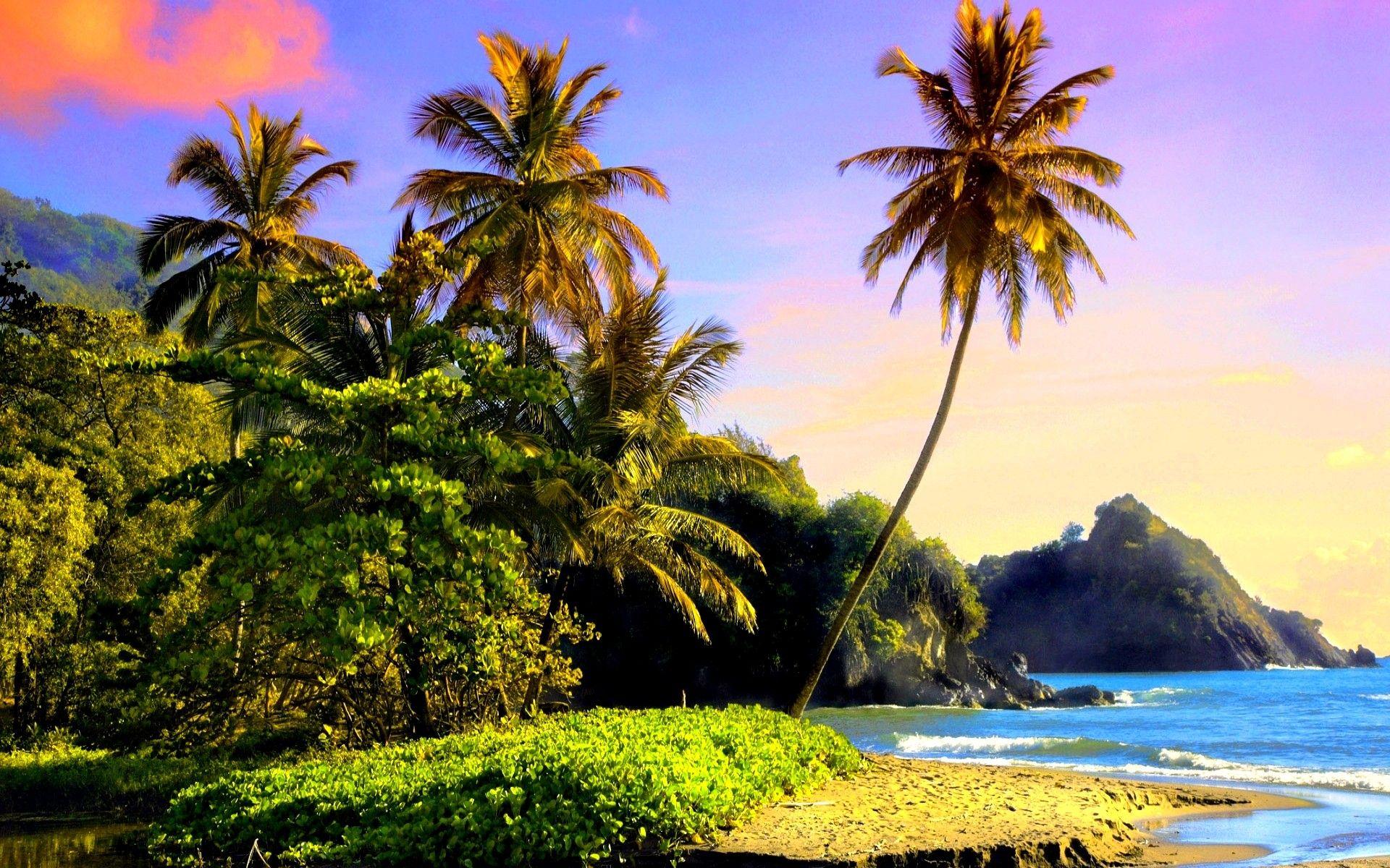 Tropical Beach Landscape Wallpapers - Top Những Hình Ảnh Đẹp