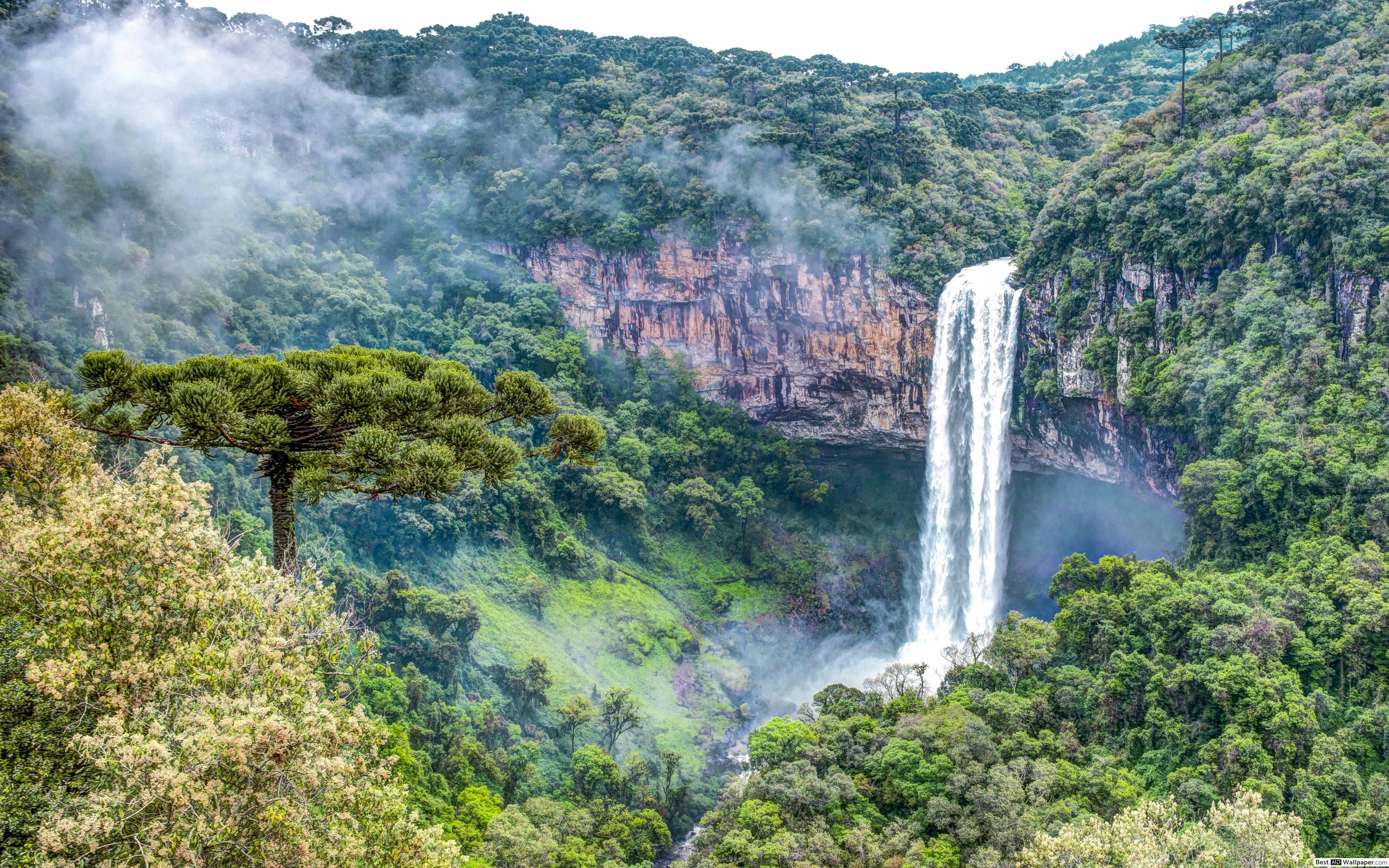 5120x3200 Waterfall in rainforest HD wallpaper download