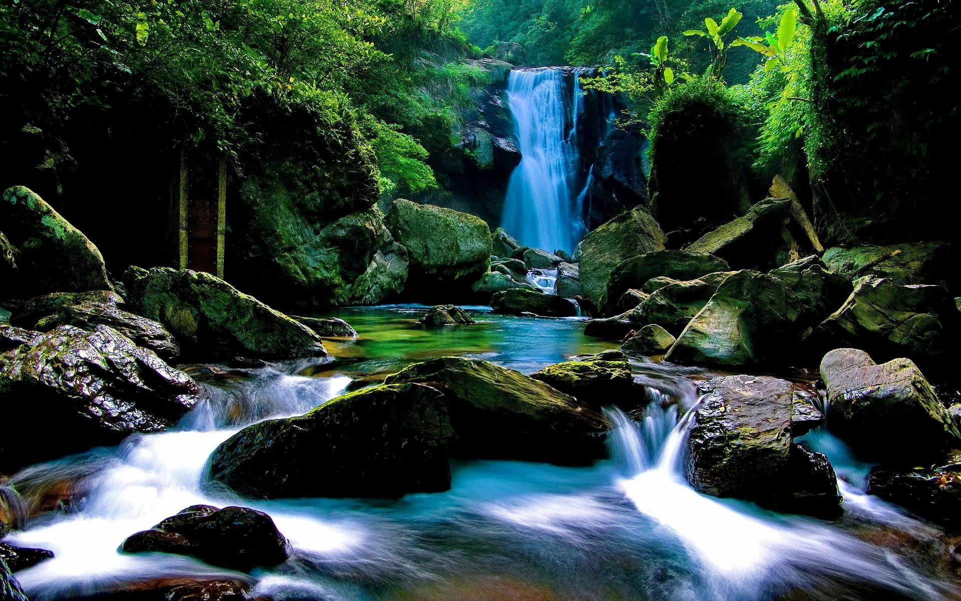 Rainforest Background With Waterfall
