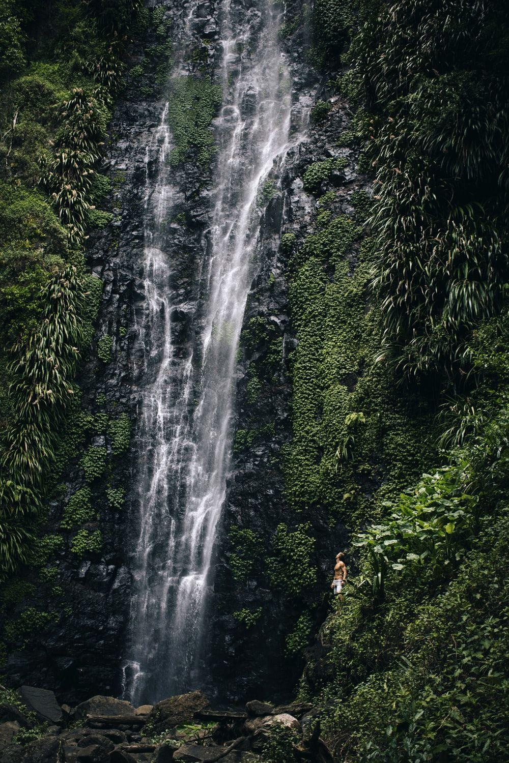 1000x1500 Rainforest Waterfall Picture. Download Free Image