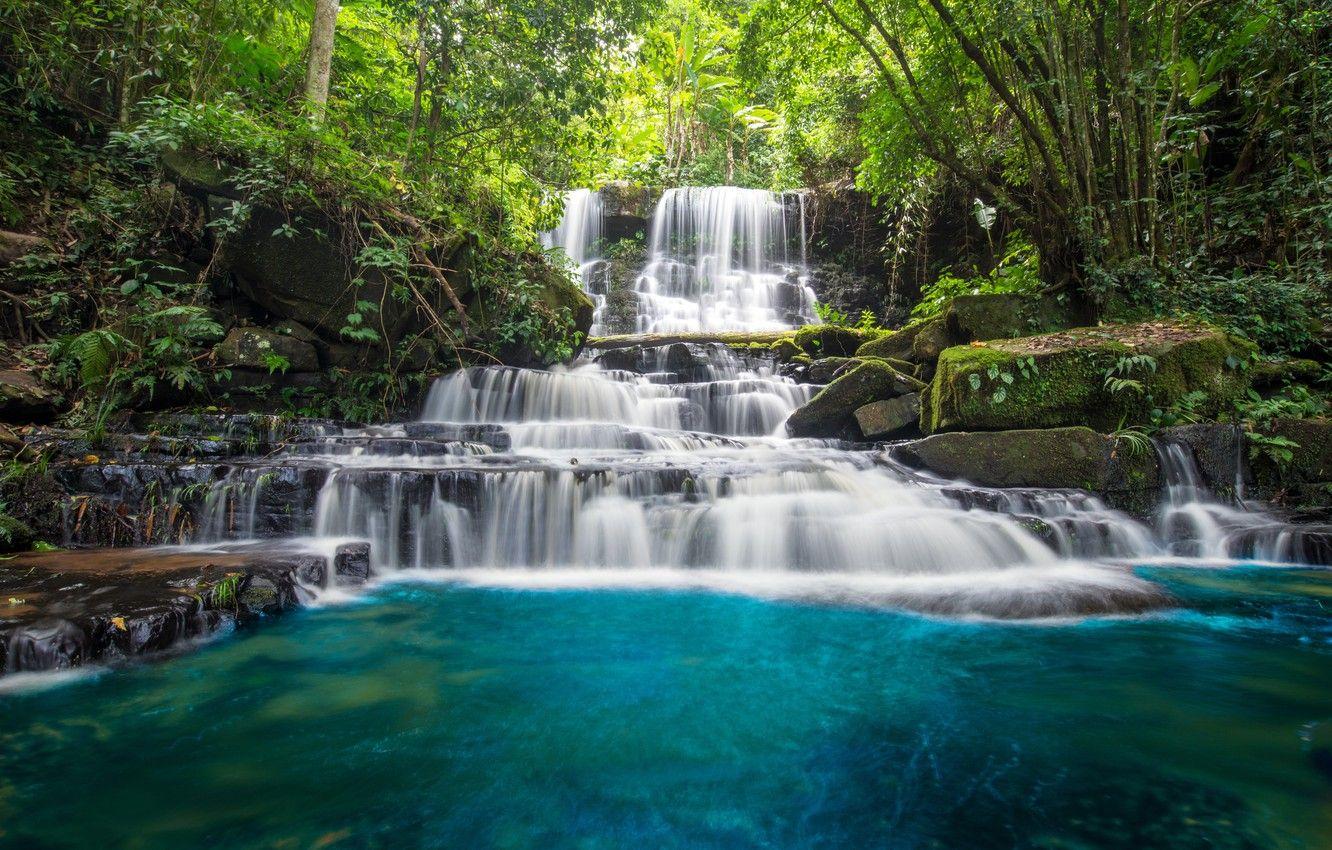 1332x850 Wallpaper forest, river, waterfall, forest, cascade, river