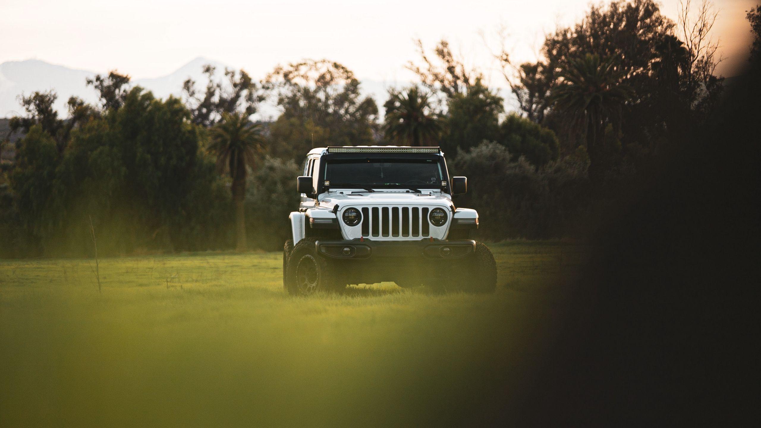 2560x1440 Download wallpaper 2560x1440 jeep wrangler, jeep, car, suv, white