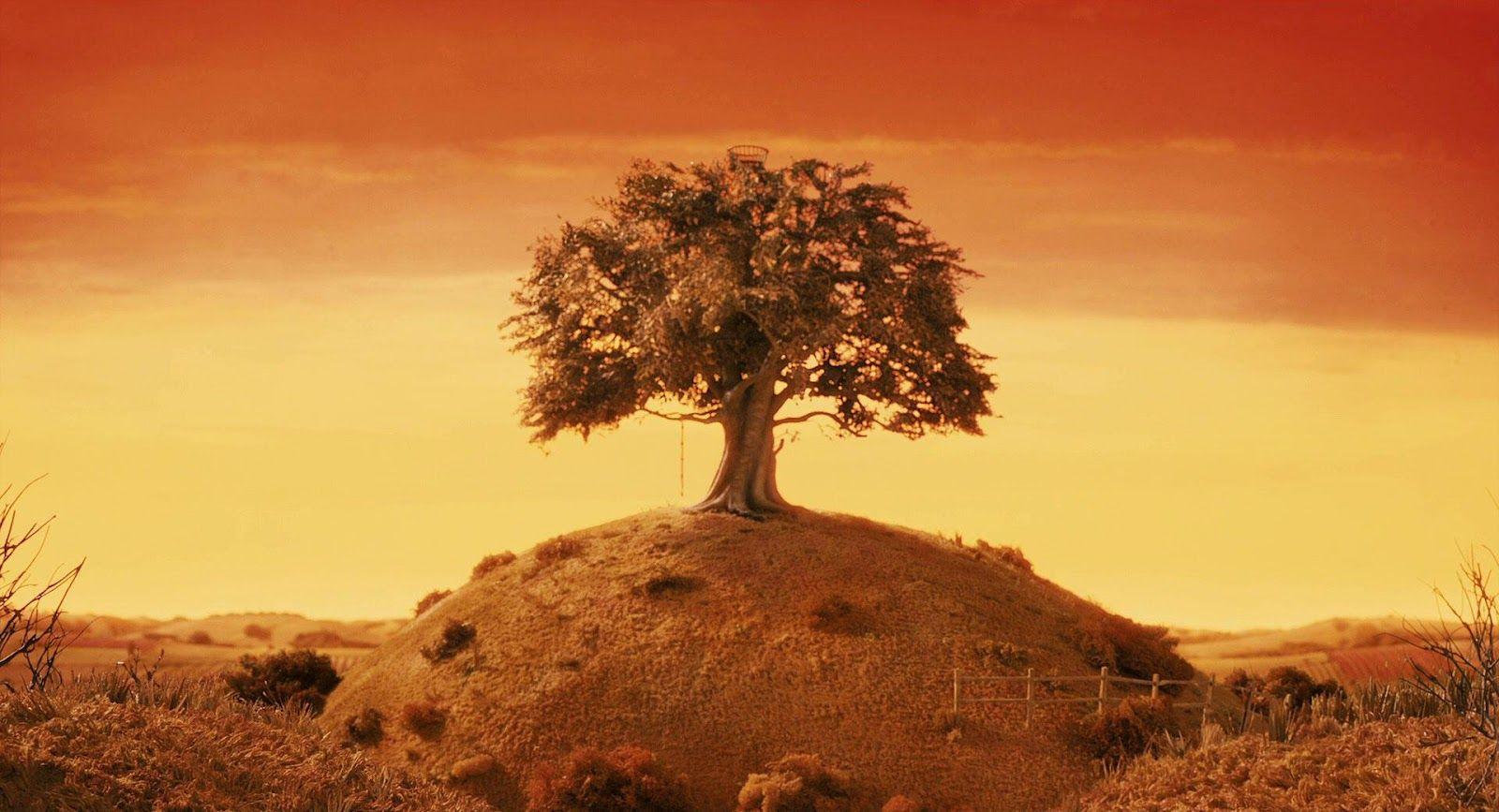 1600x867 Fantastic Mr Fox Wallpaper