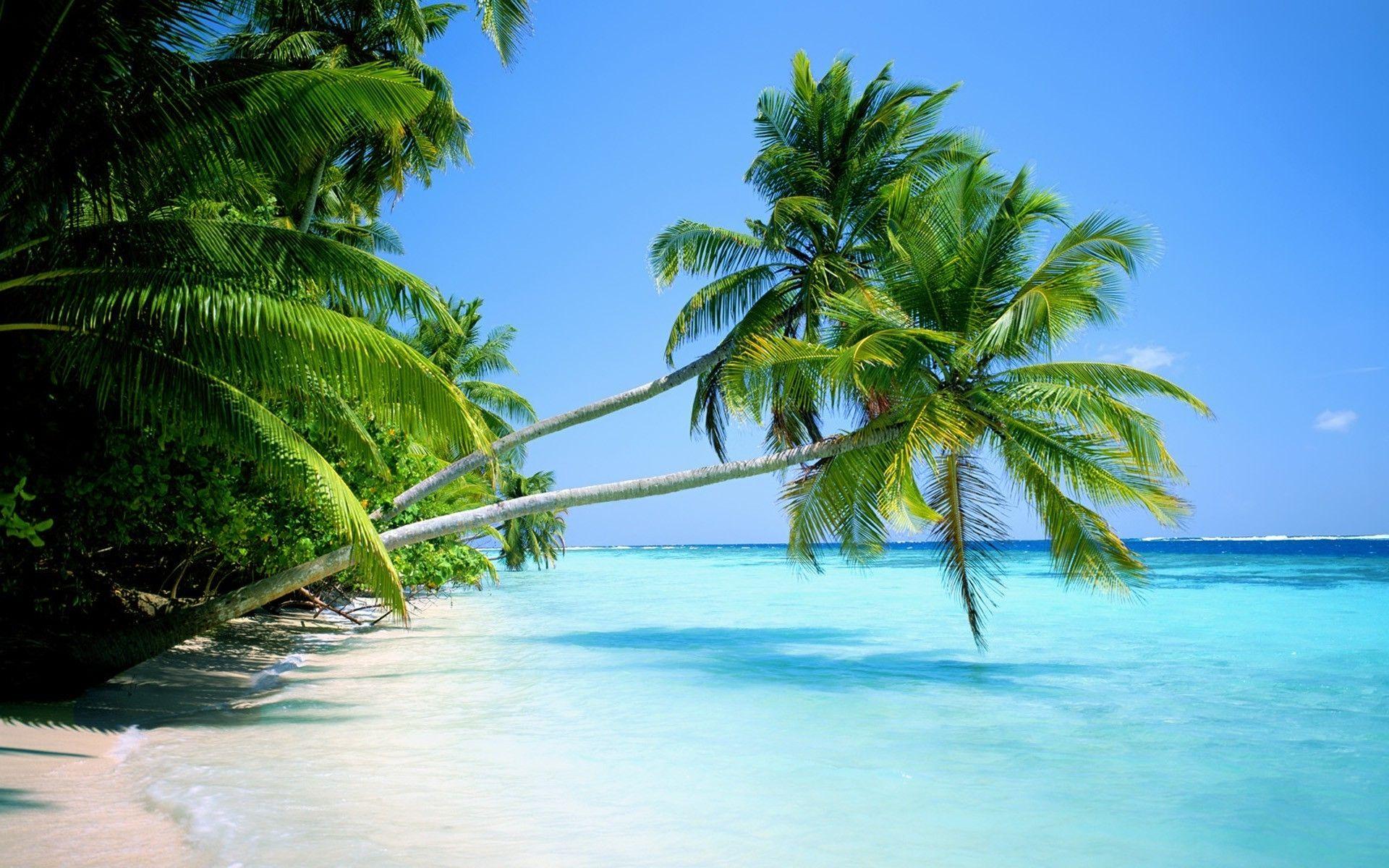 1920x1200 New Landscape Wallpaper Tropical Beach. The Most